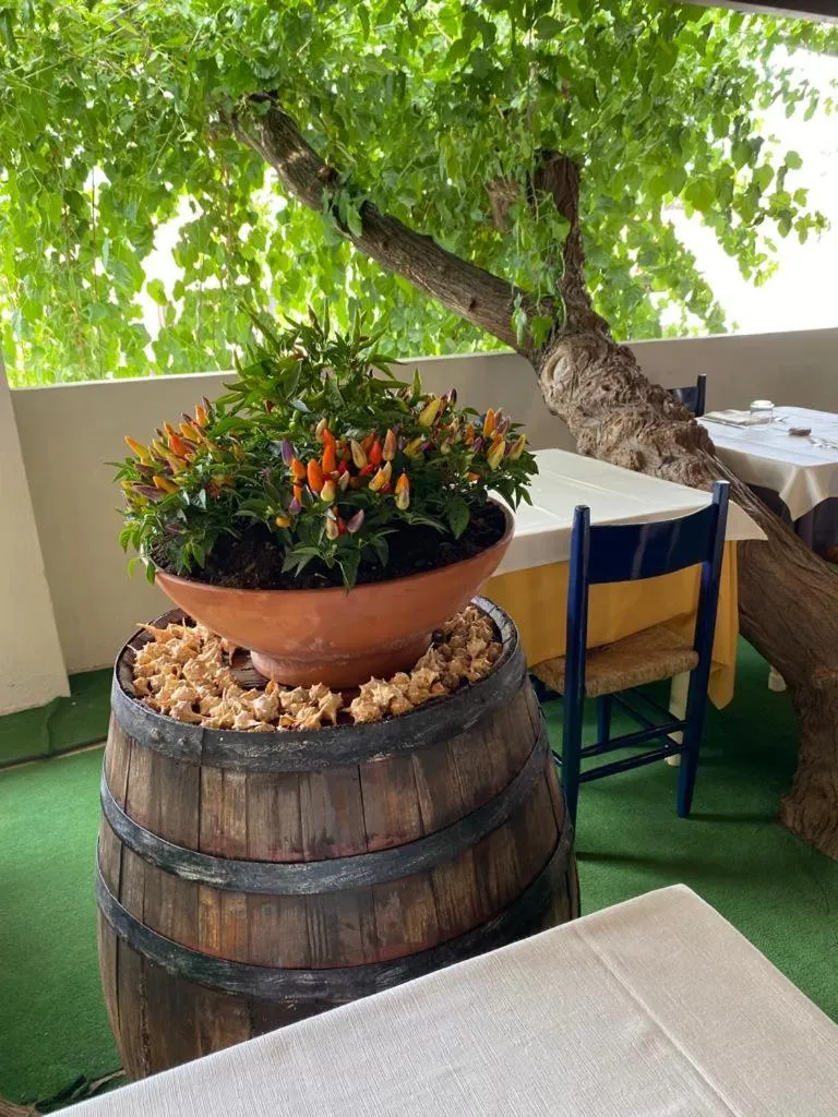 Cinquestelle Albergo del centro storico