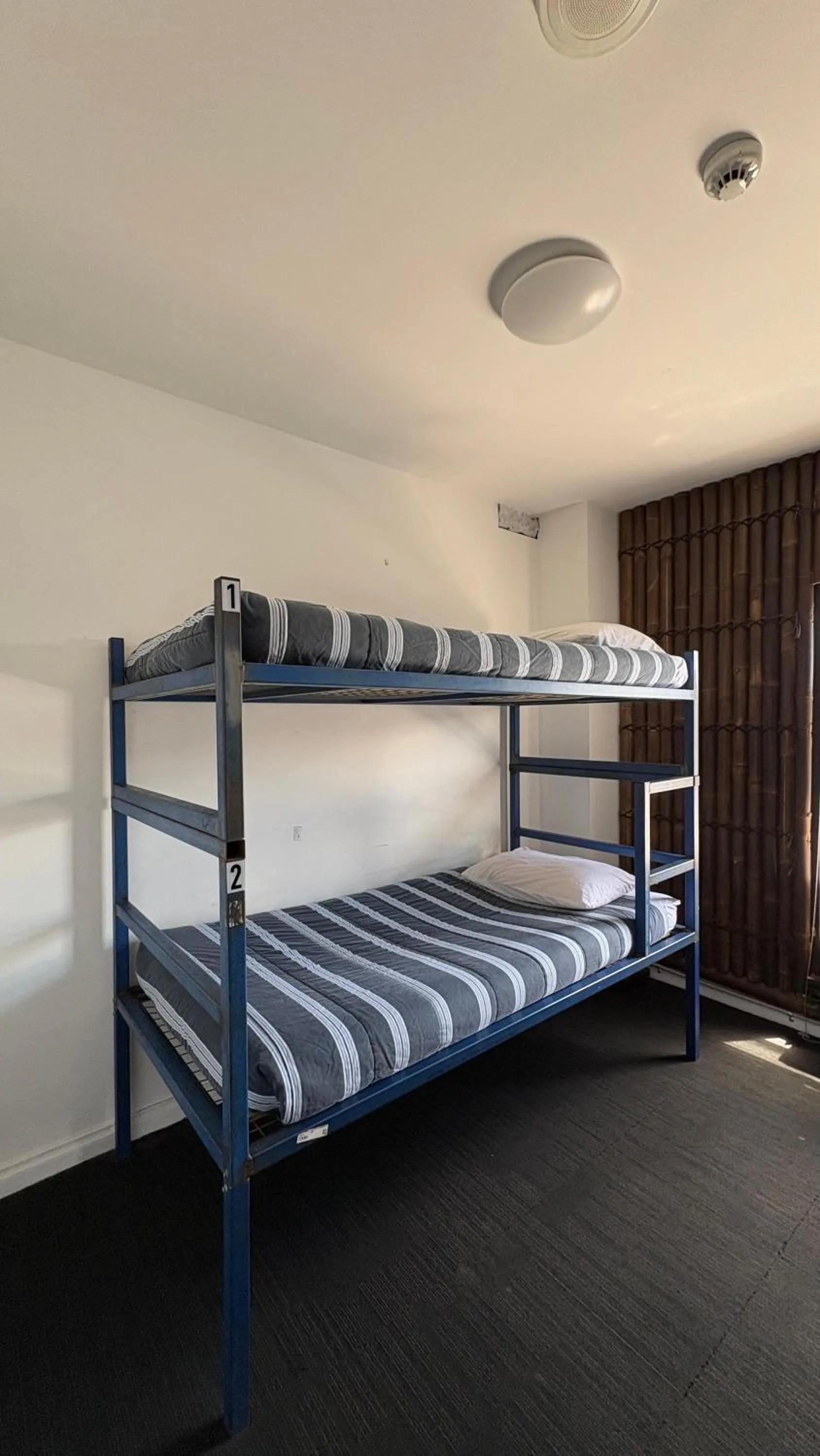 bunk bed, Bed in Bayside House