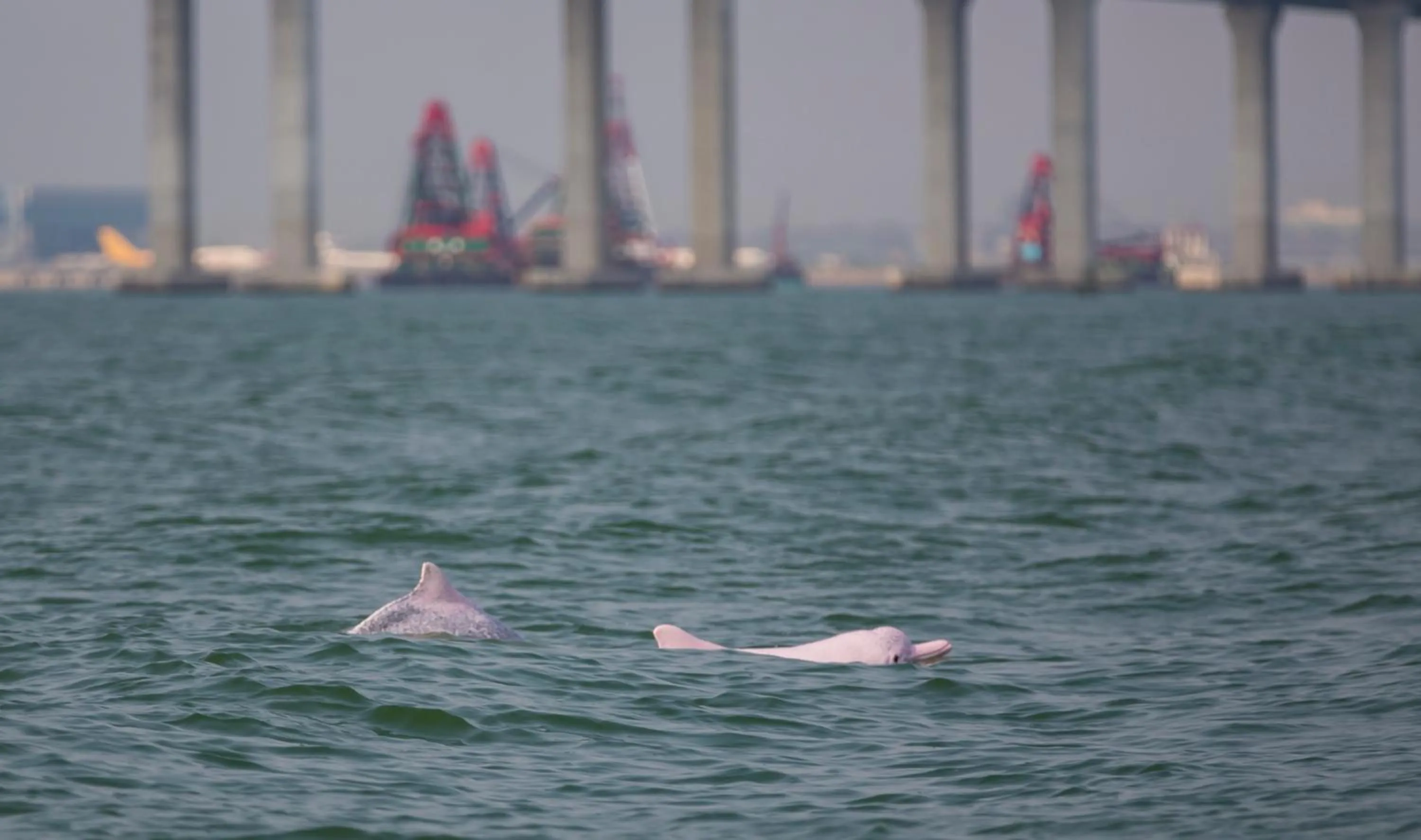 Other in Check Inn HK