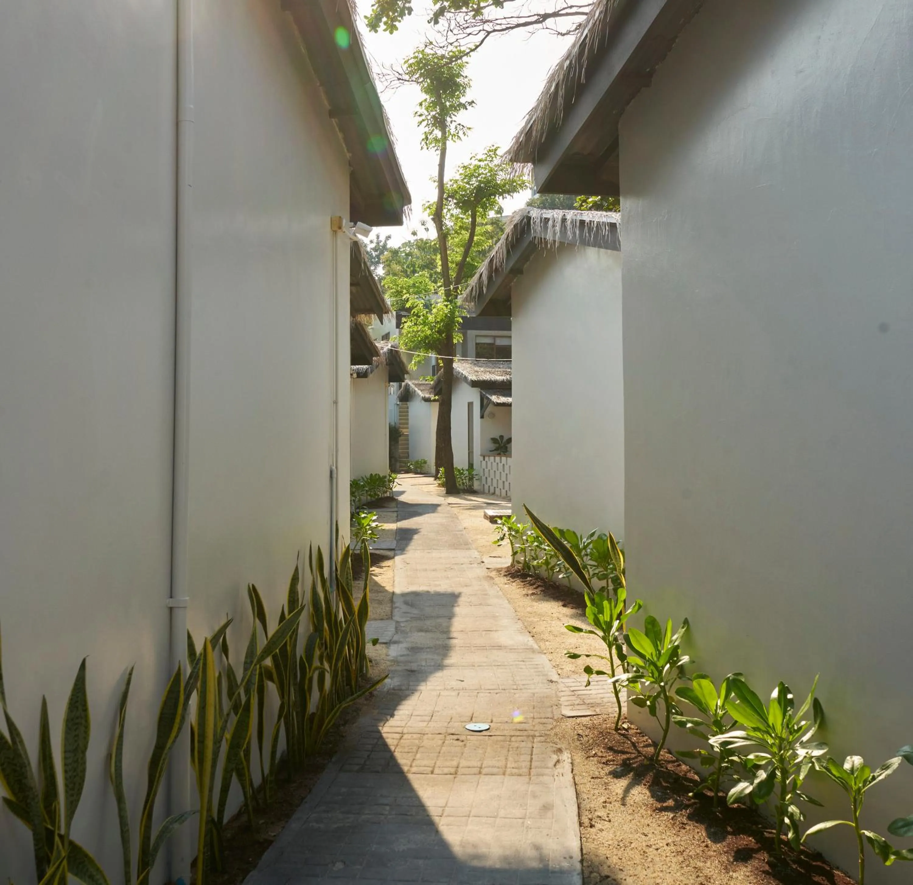 Patio in Escape Beach Resort - New Look & Improved