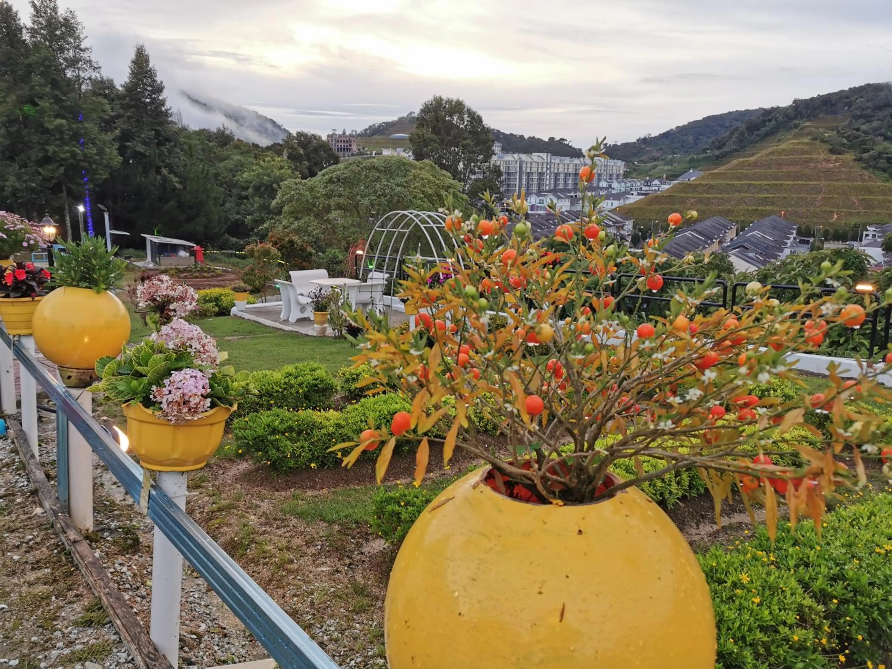 Garden in Dear Dino Villa Cameron Highlands