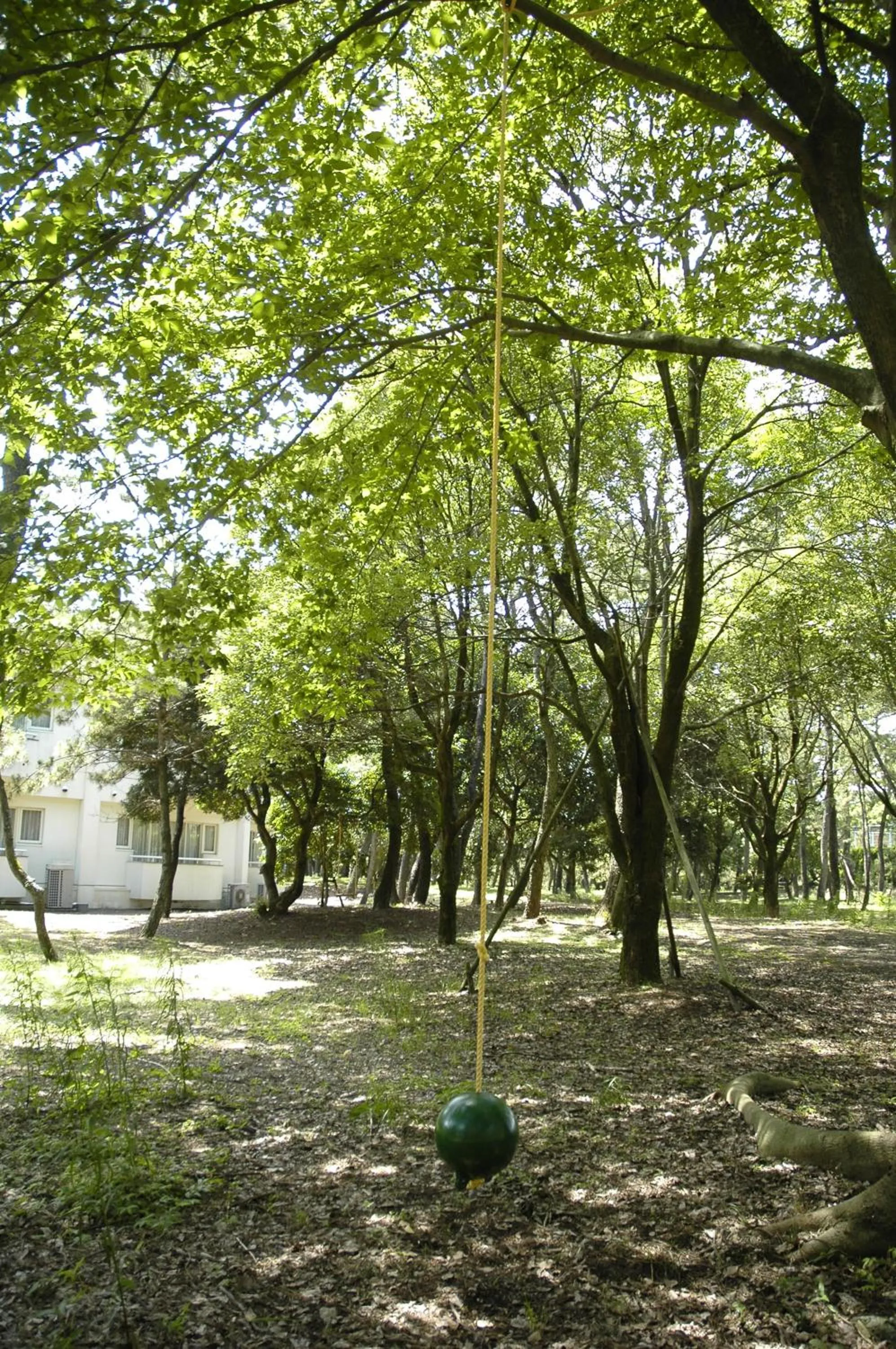 Property building in Luxze Hitotsuba/Cottage Himuka