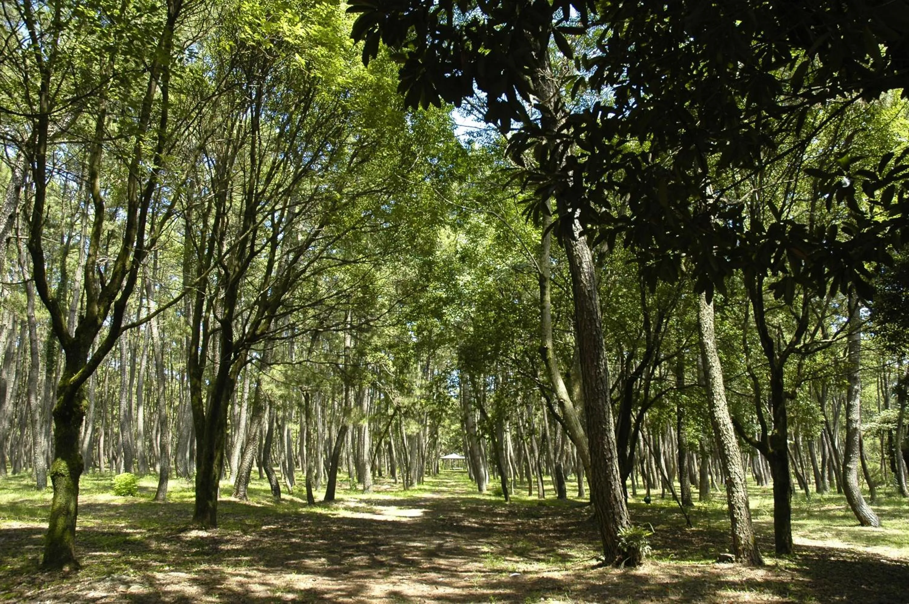 Natural landscape in Luxze Hitotsuba/Cottage Himuka