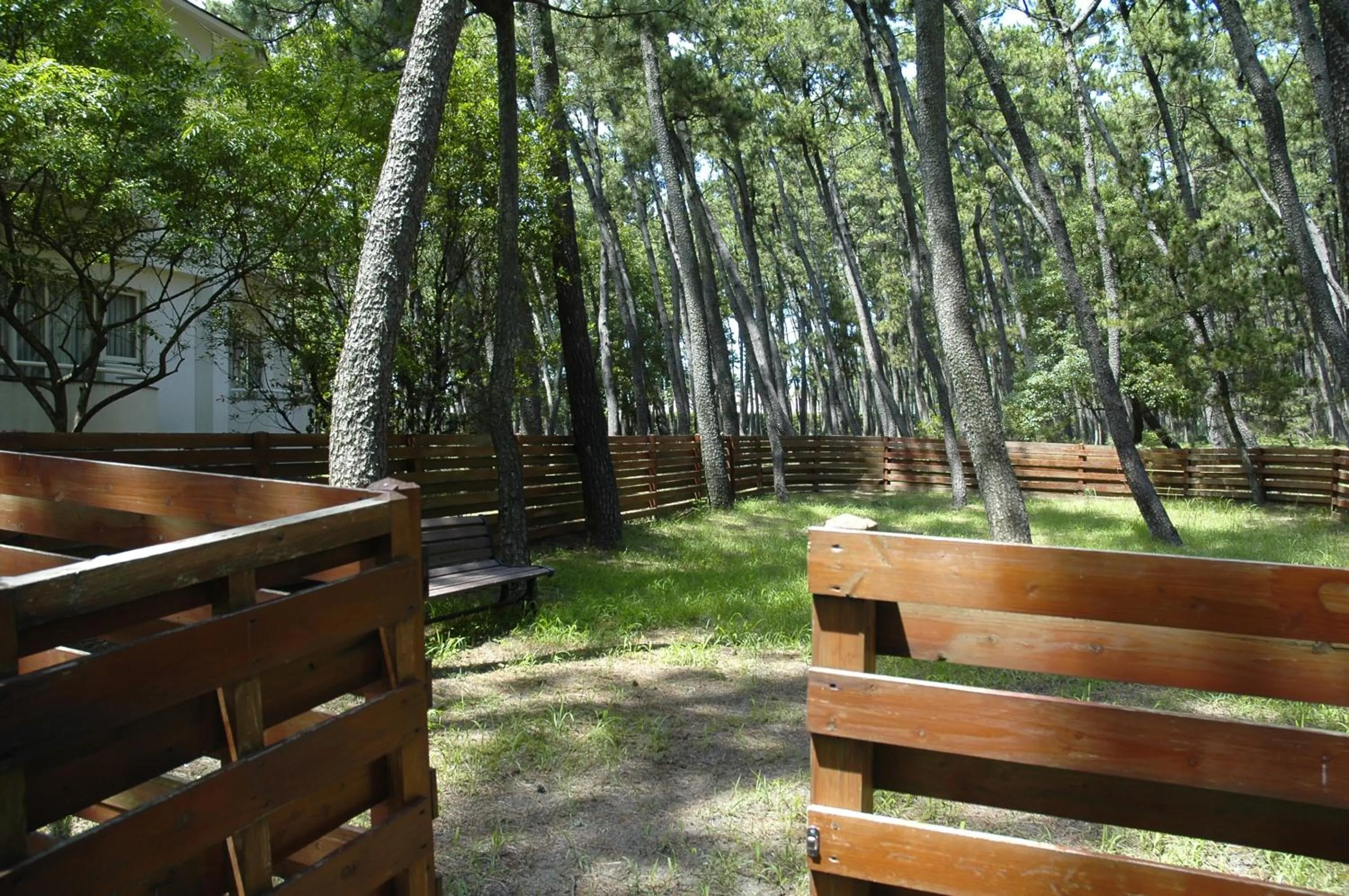 Property building in Luxze Hitotsuba/Cottage Himuka