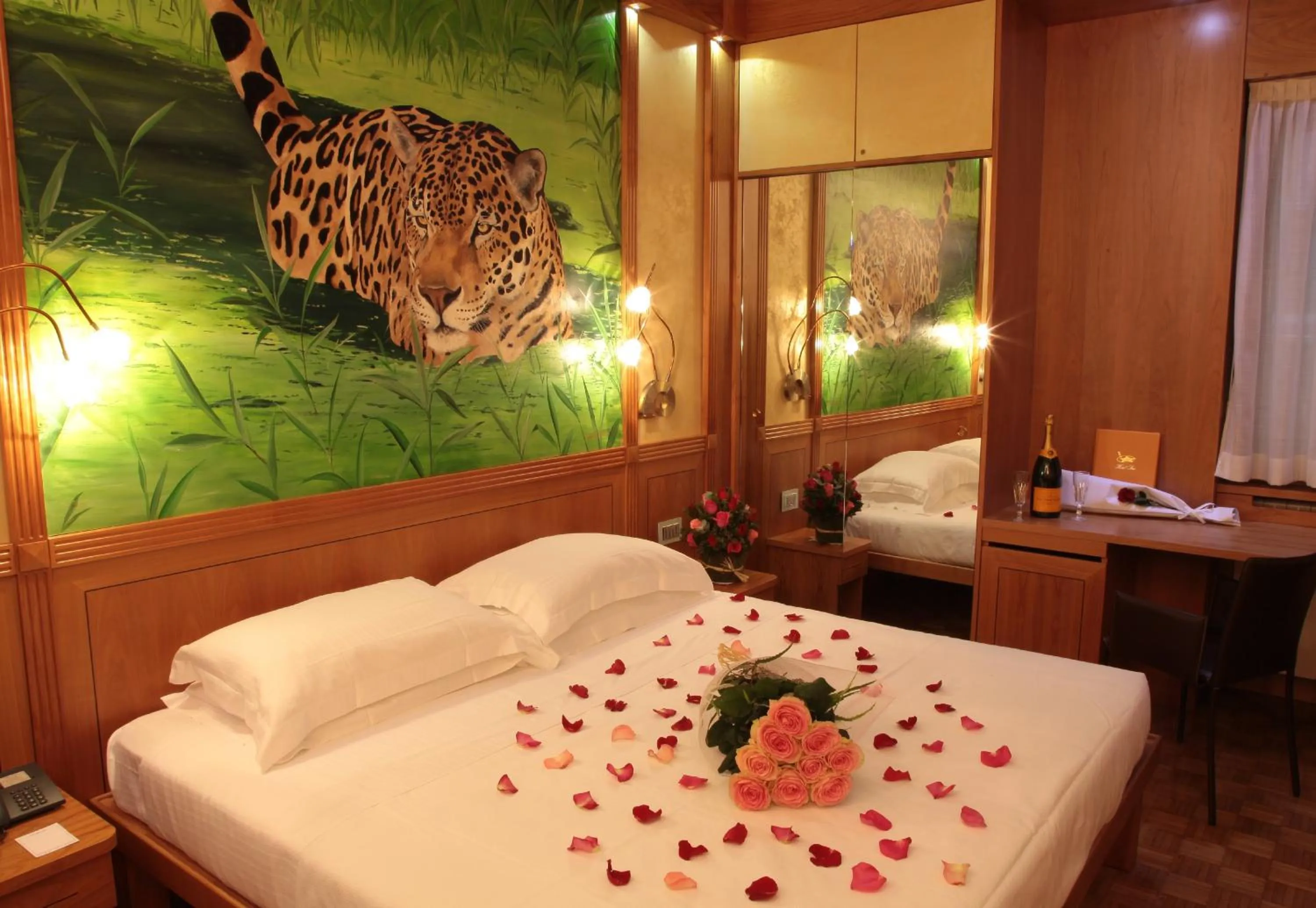 Photo of the whole room in Hotel Star