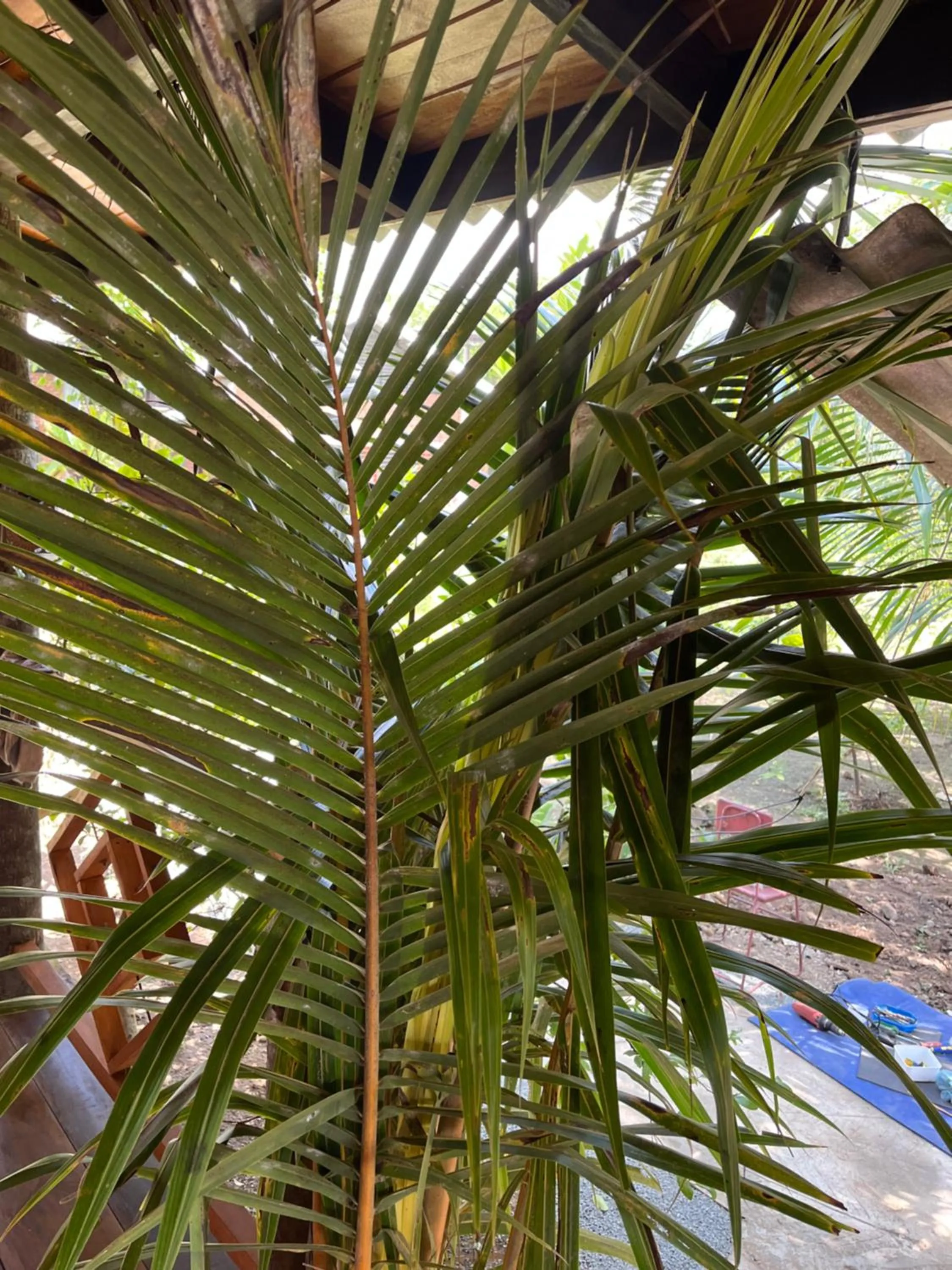 View (from property/room) in Tanty’s Hostel