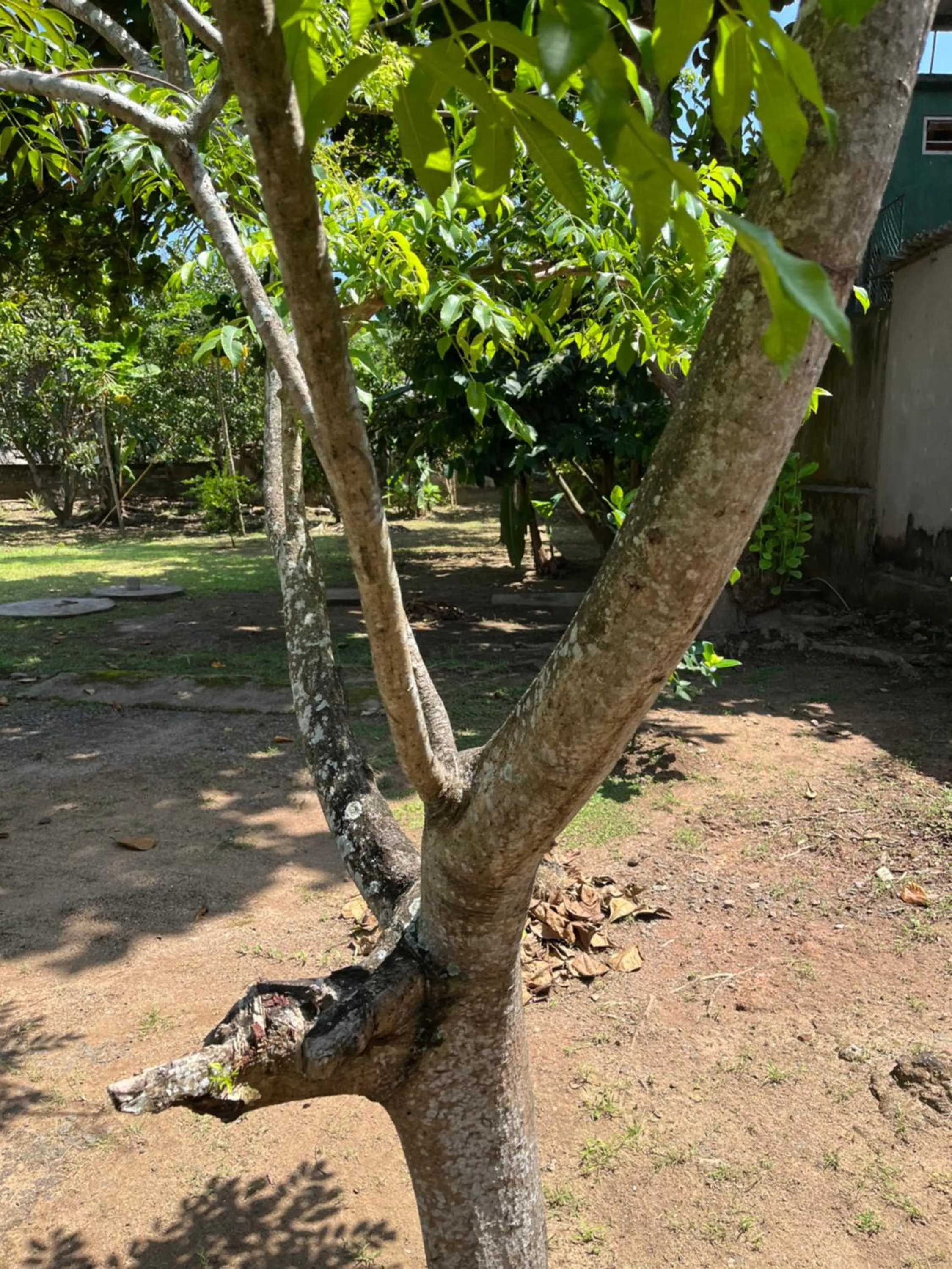 Natural landscape in Tanty’s Hostel