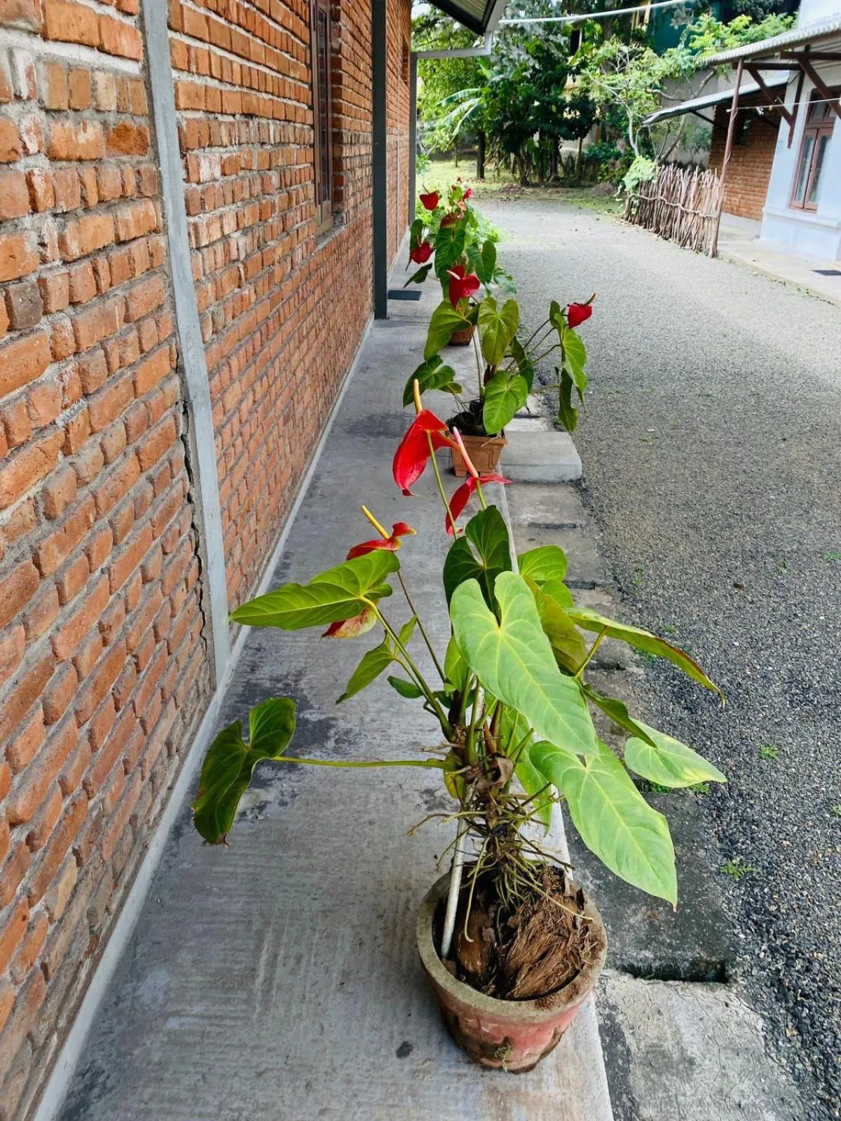 Property building in Tanty’s Hostel