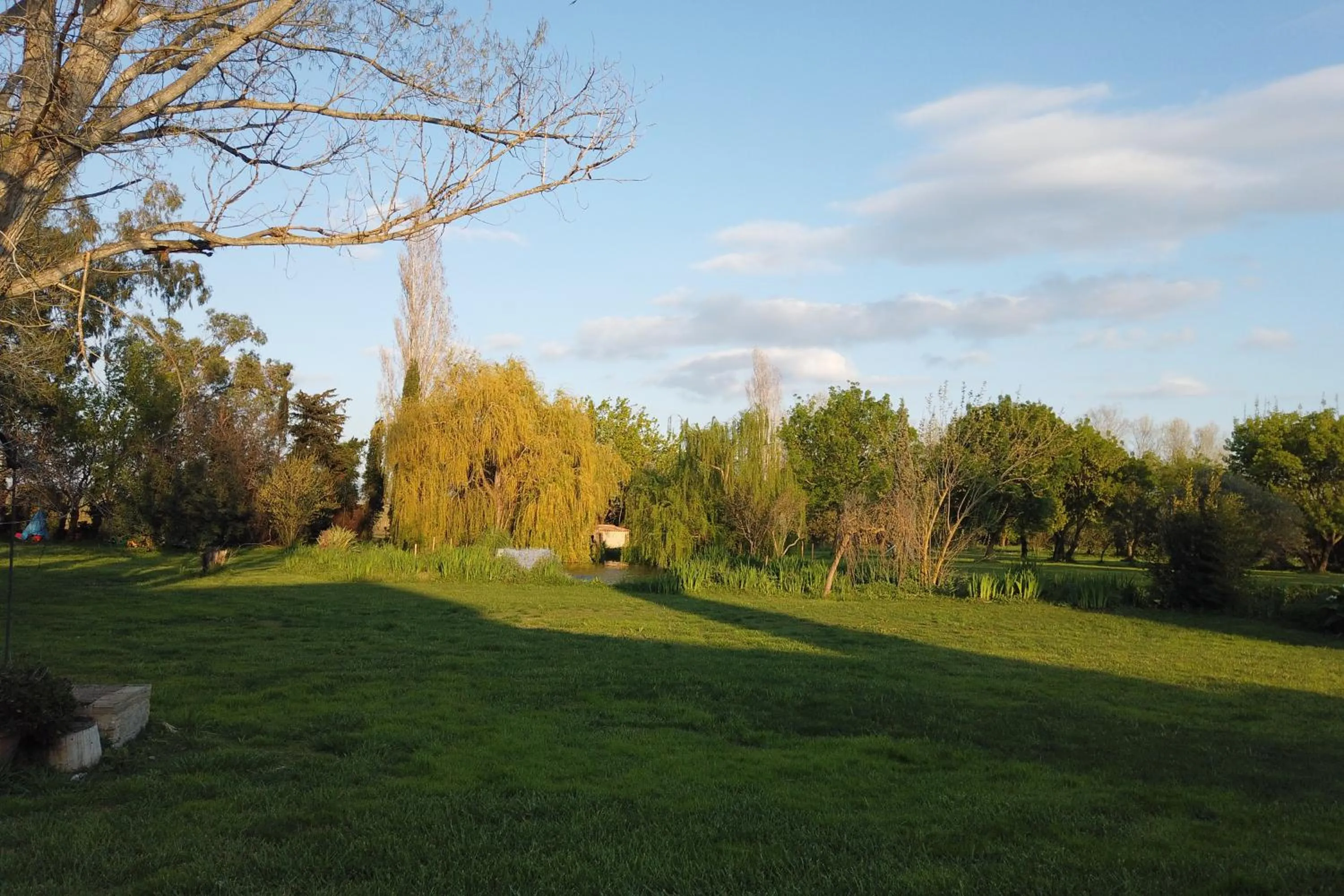 Garden in HOTEL MAS ARET