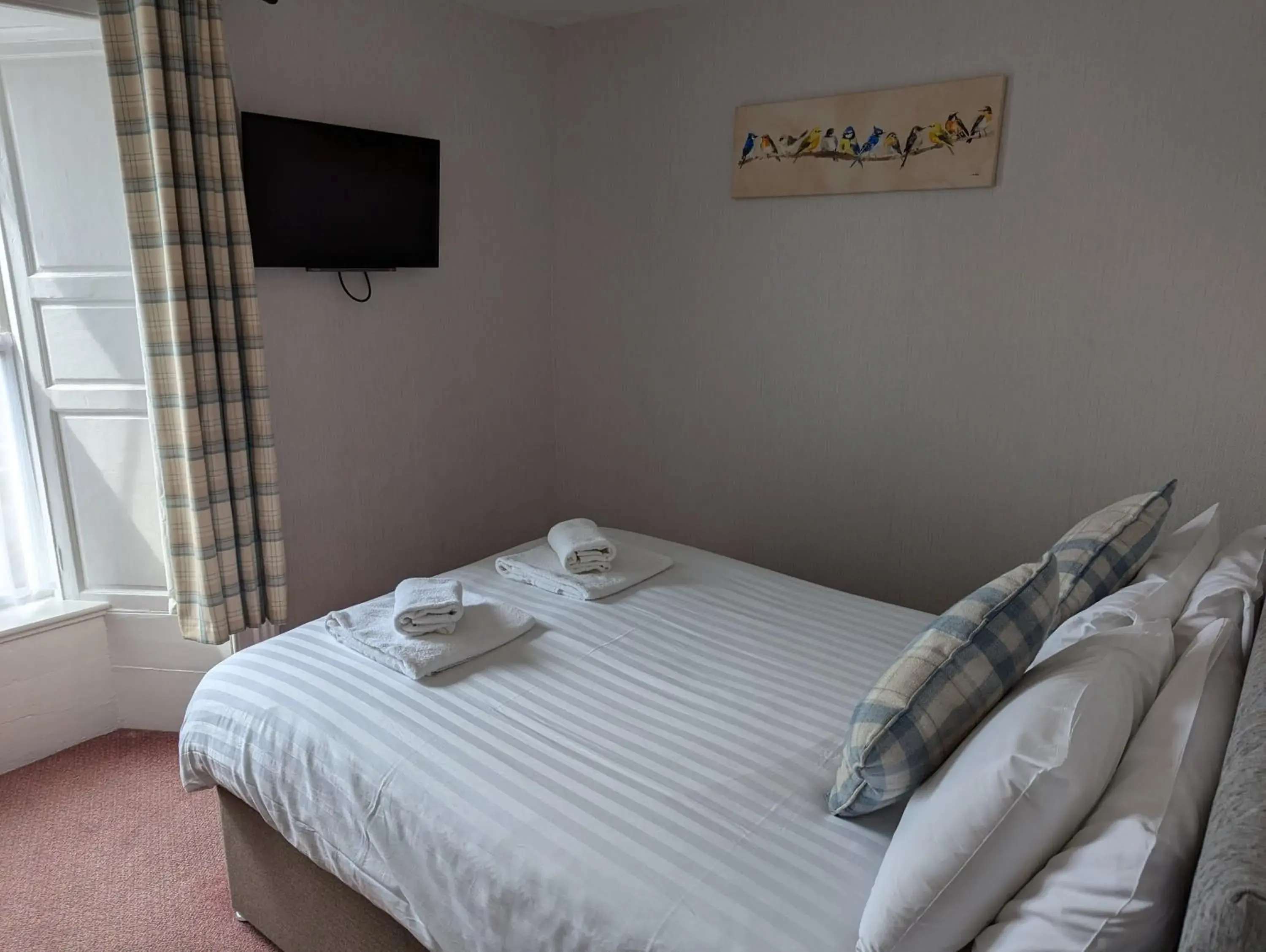 Double Room in The Buck Double Room in The Buck