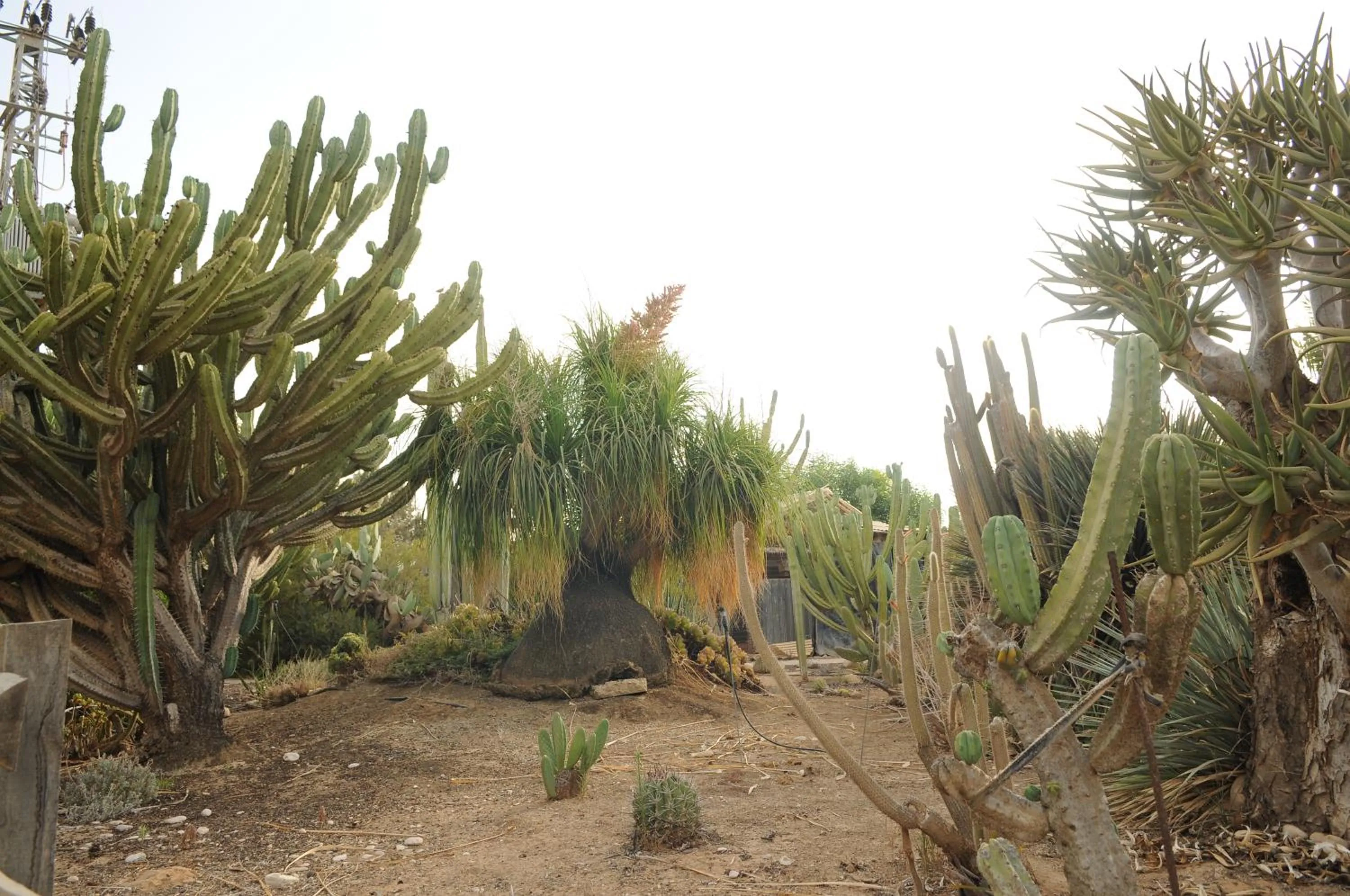 Activities in Mandara - Country Lodging