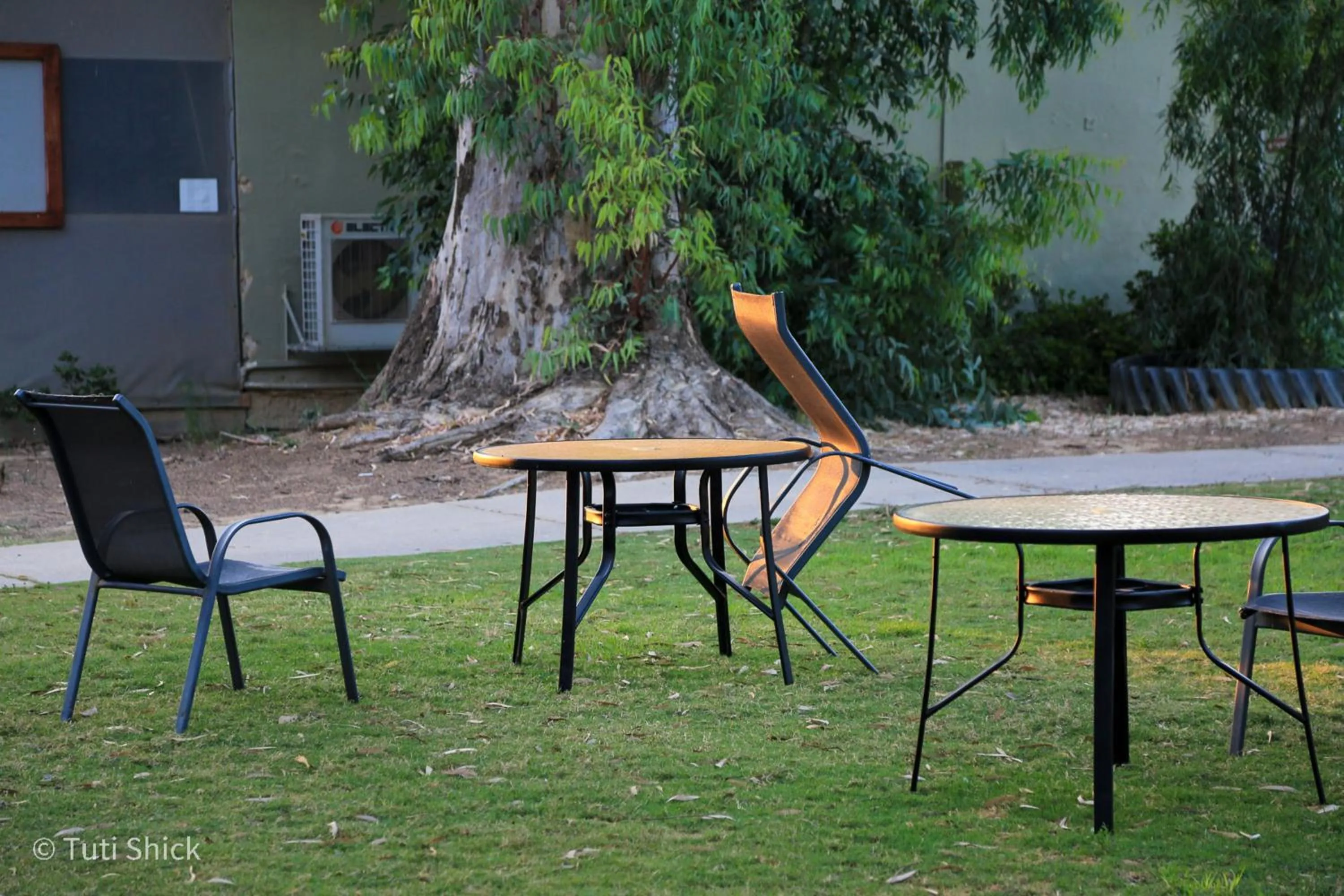 Garden in Mandara - Country Lodging