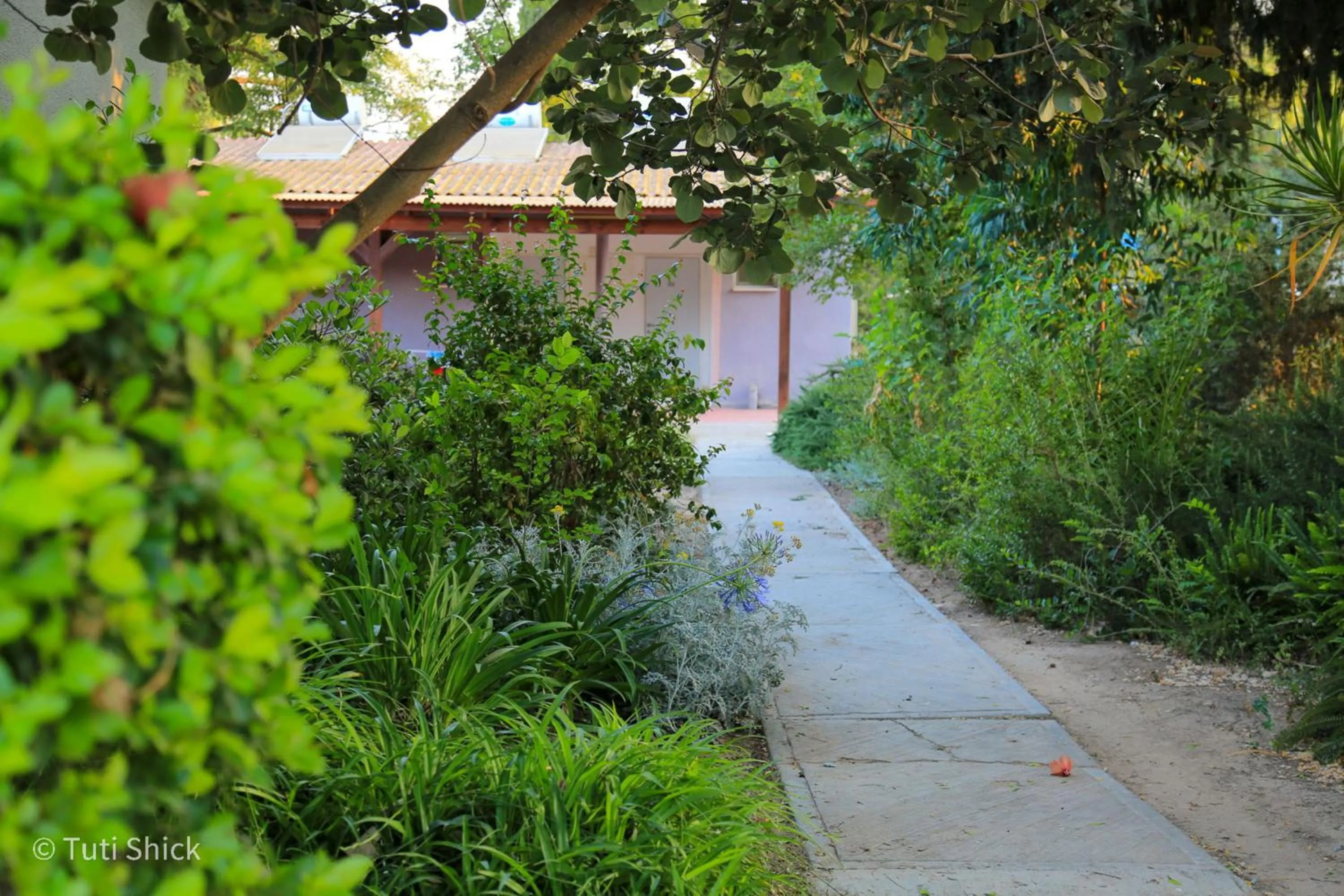 Garden in Mandara - Country Lodging