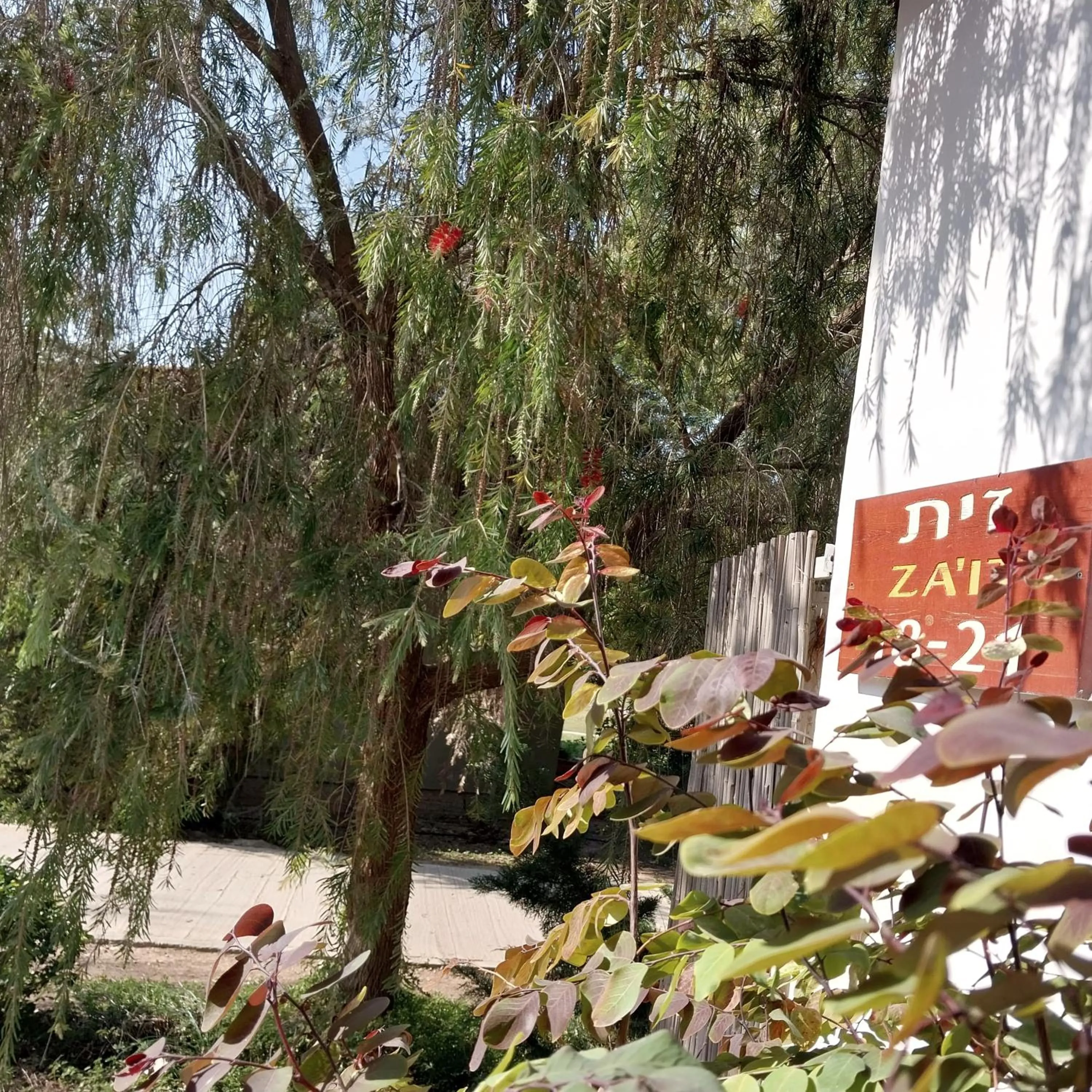 Logo/Certificate/Sign in Mandara - Country Lodging