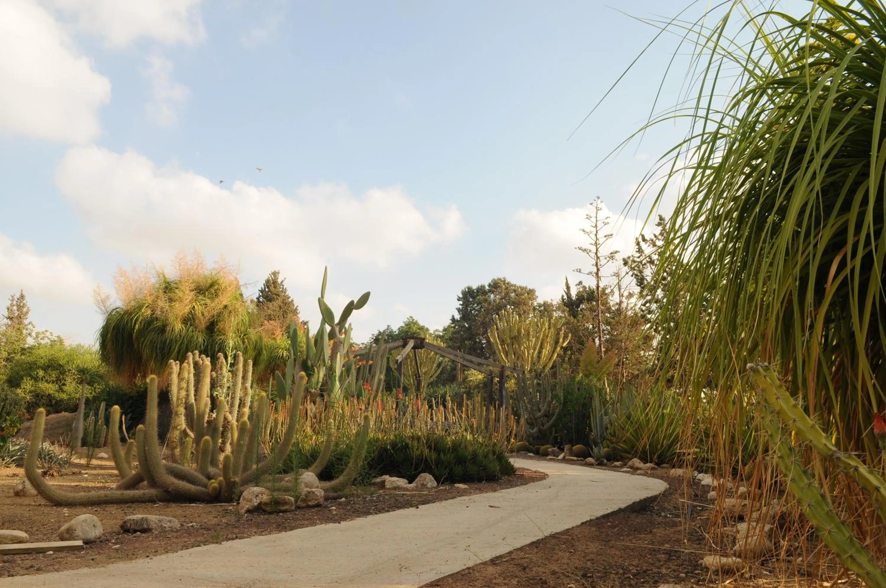 Activities in Mandara - Country Lodging