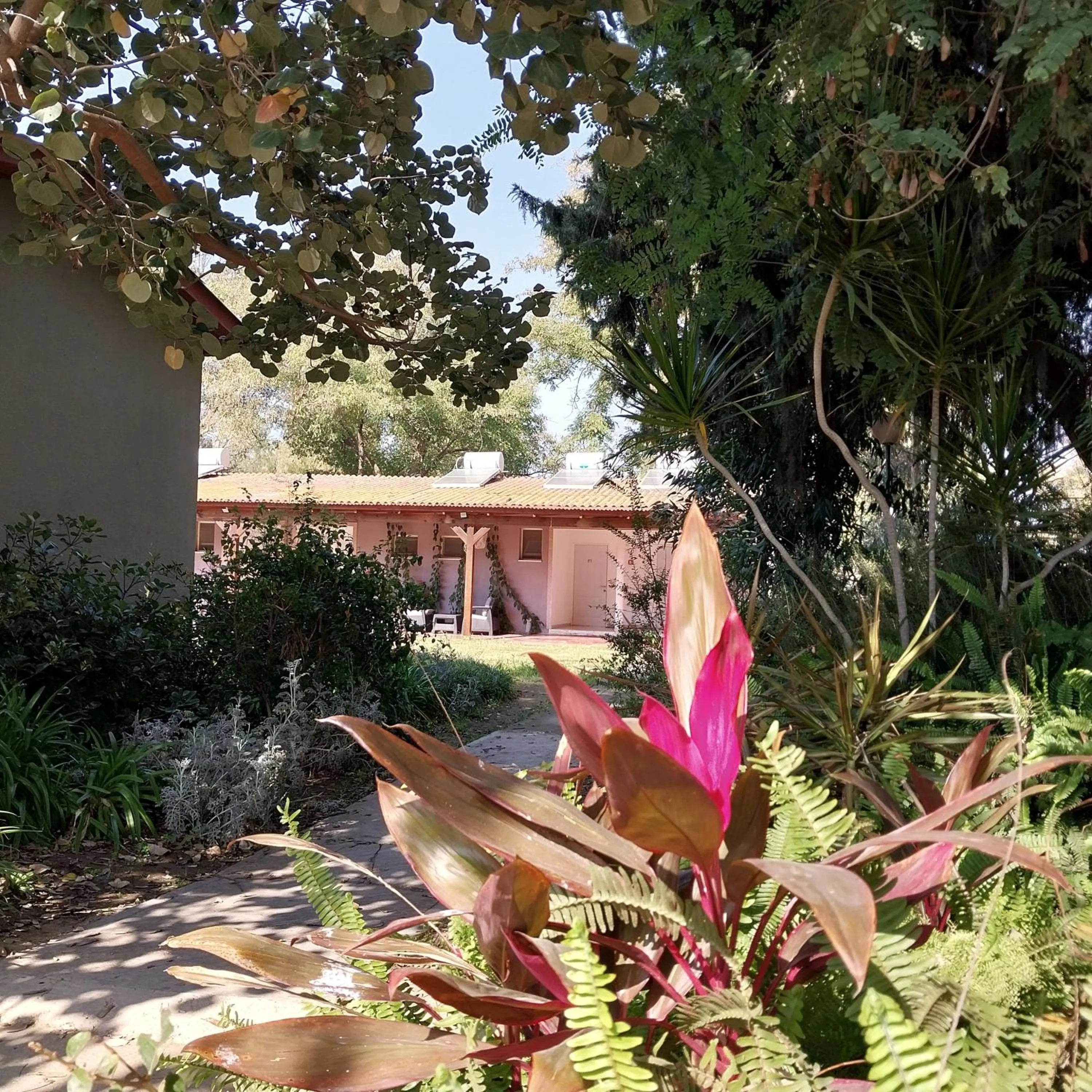 Garden in Mandara - Country Lodging