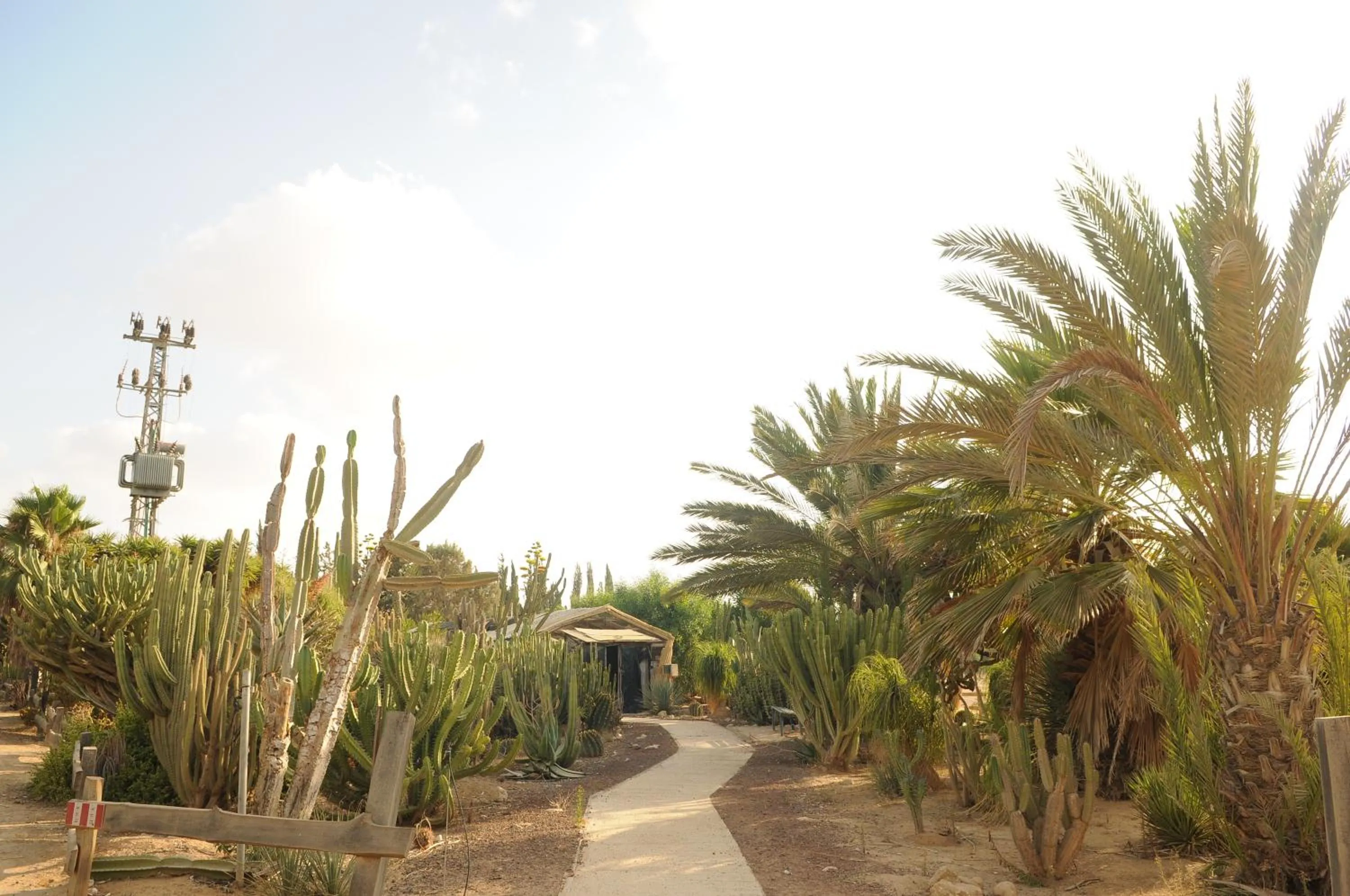 Activities in Mandara - Country Lodging