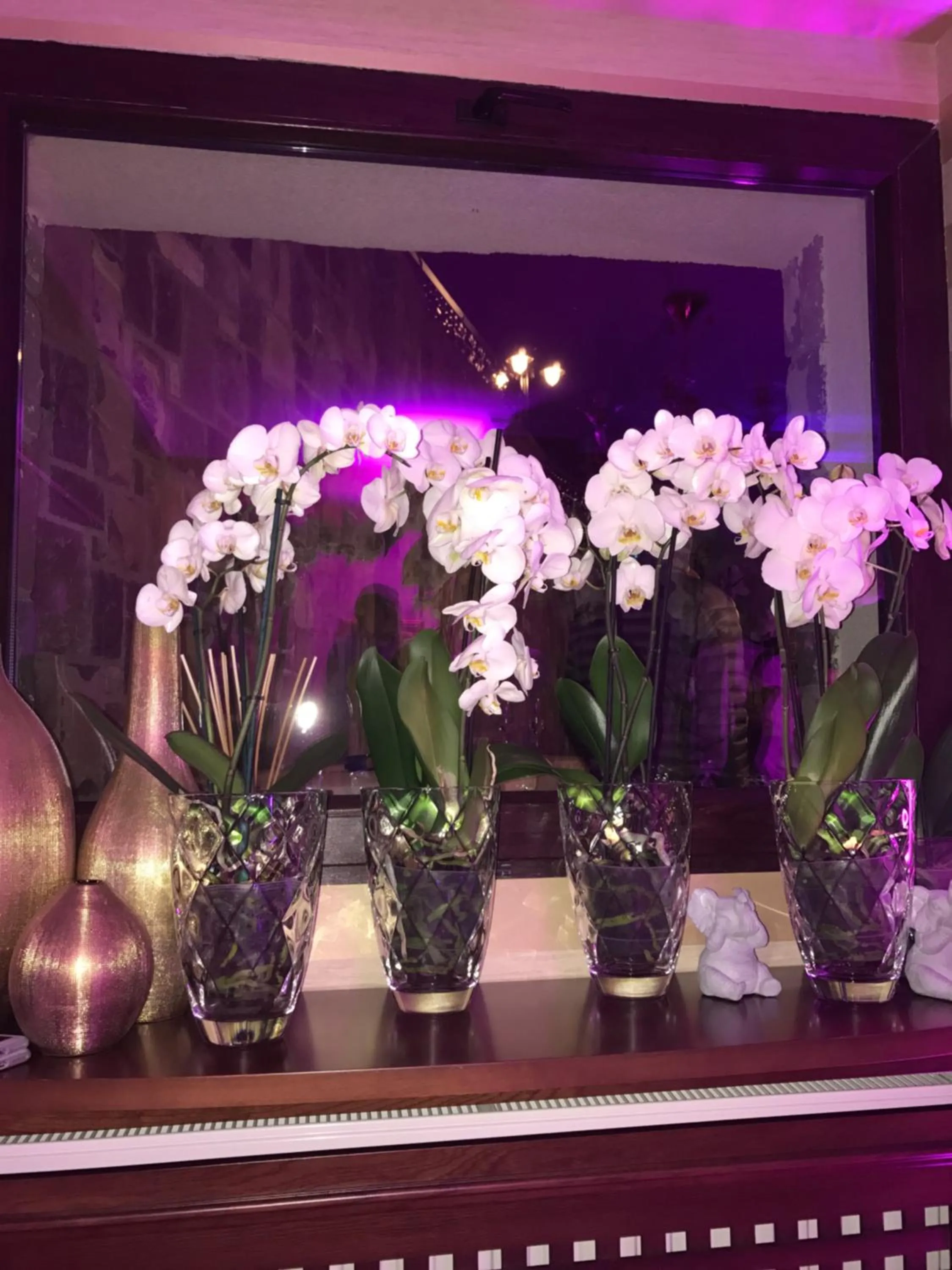 Communal lounge/ TV room in Hotel Boutique Belvedere