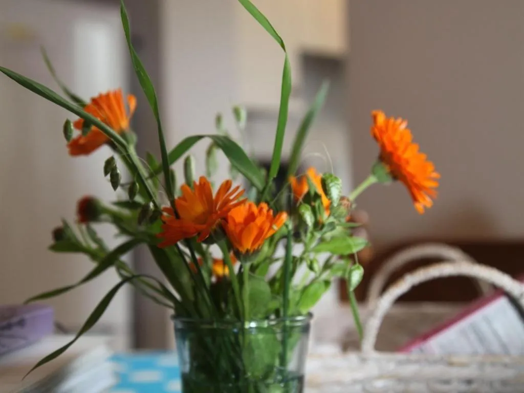 Other in Green Cottages