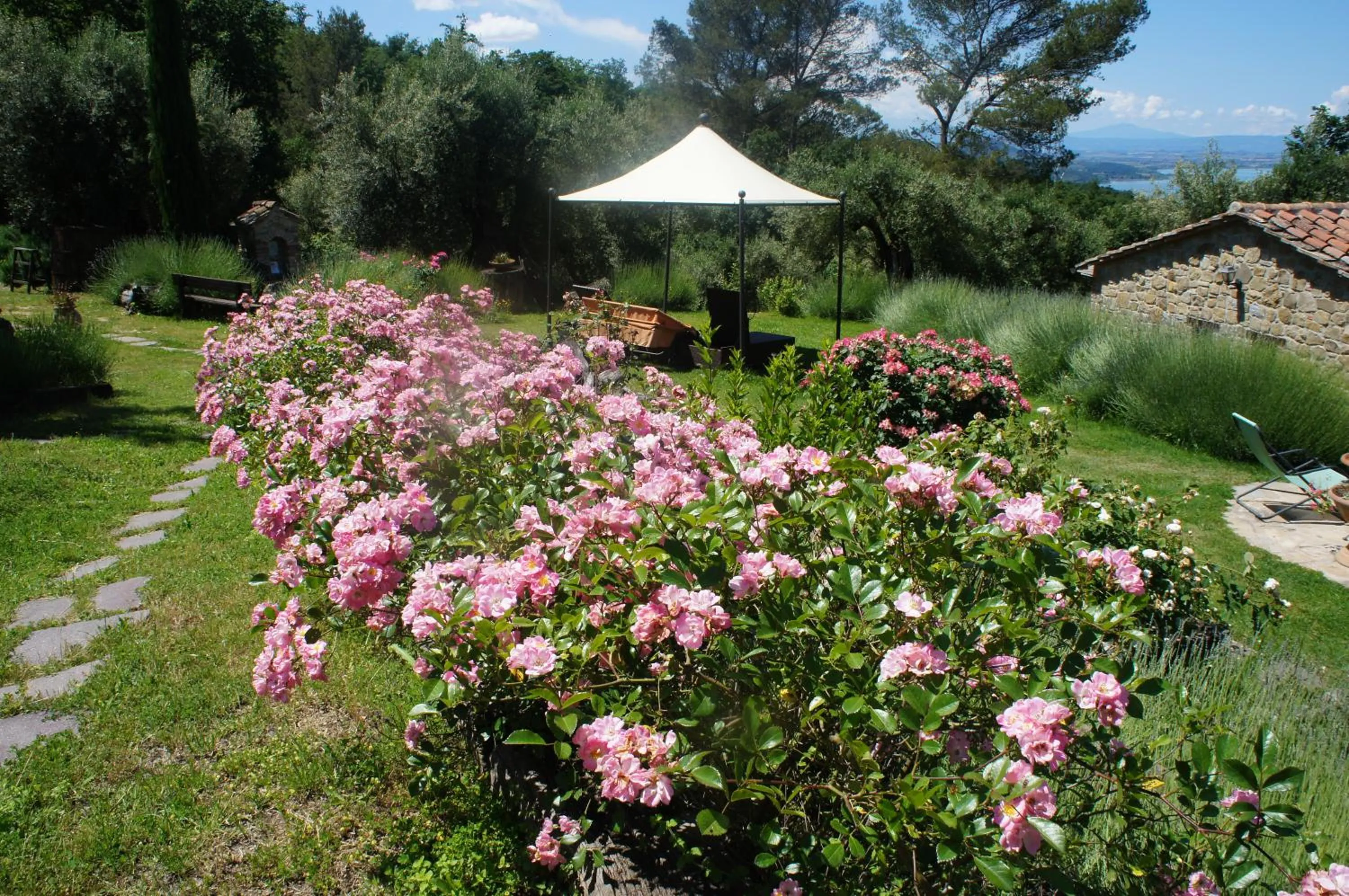 Garden in EcoResort Il Cantico della Natura