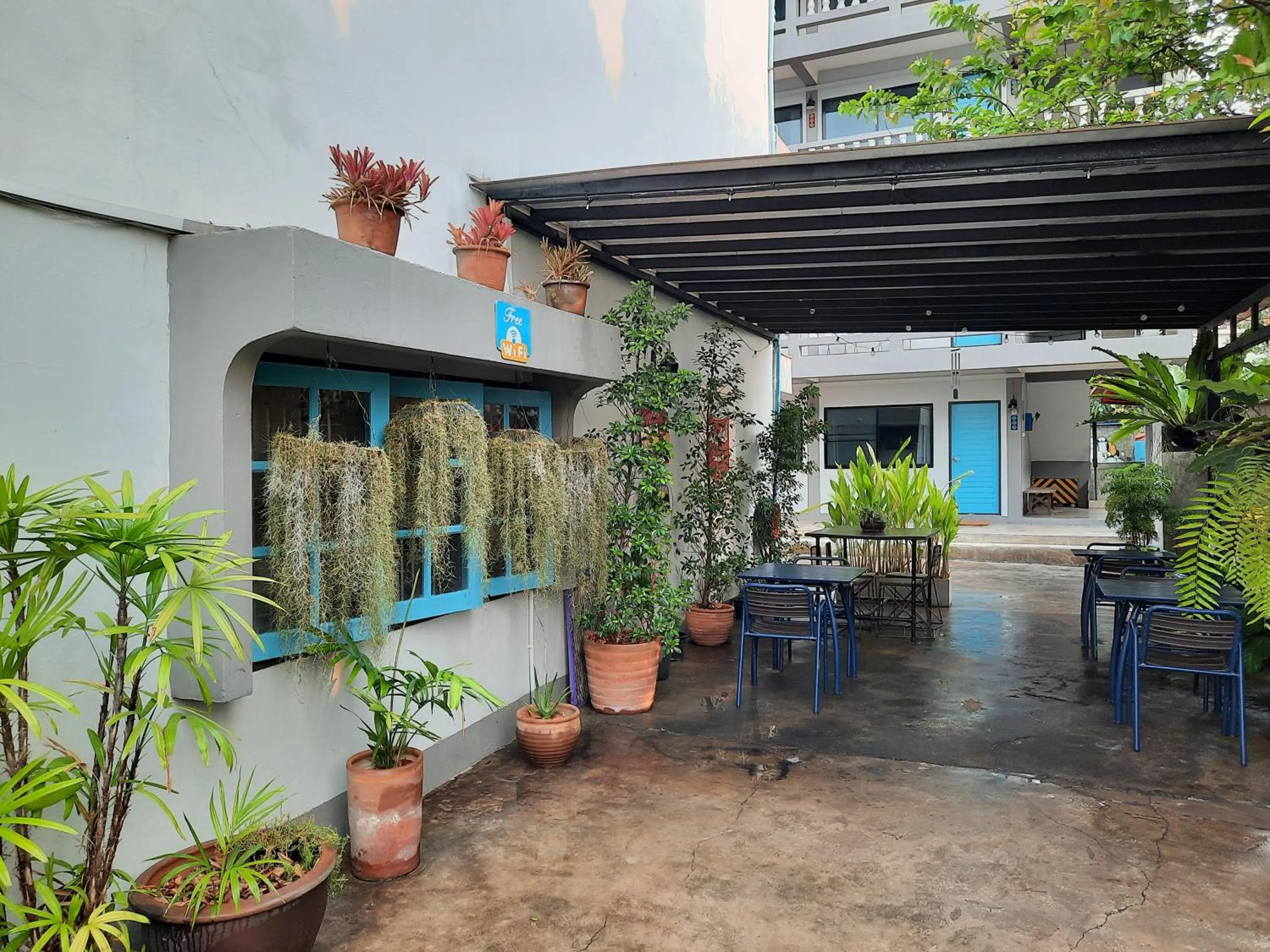 Garden in Sleep Guesthouse