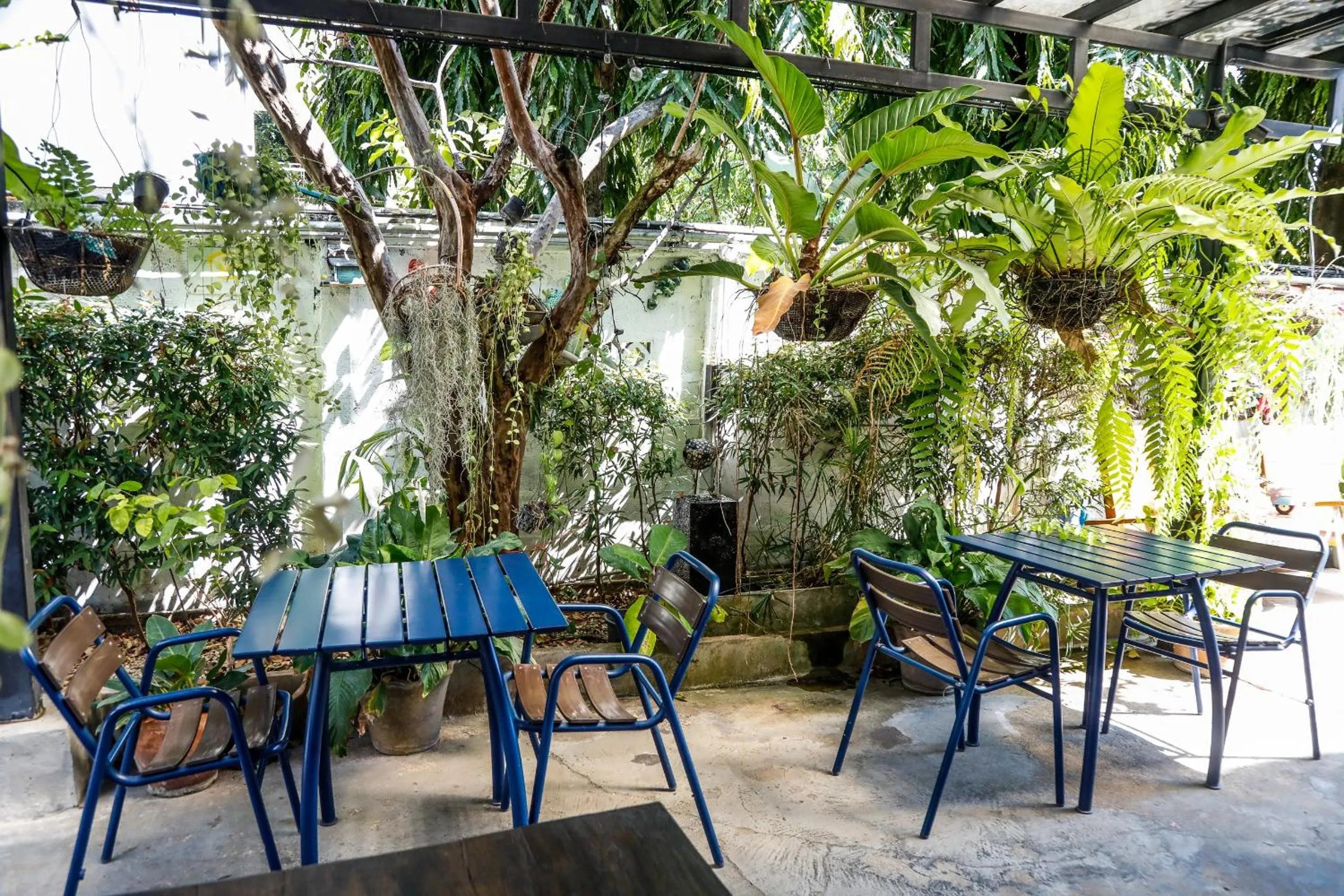 Patio in Sleep Guesthouse