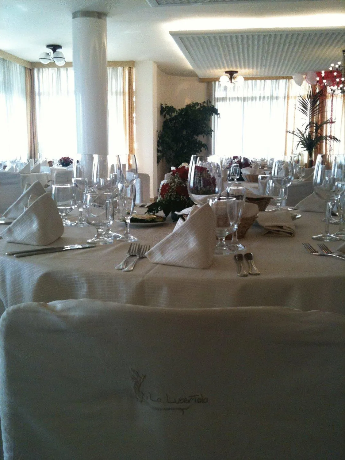 Restaurant/places to eat in Hotel La Lucertola