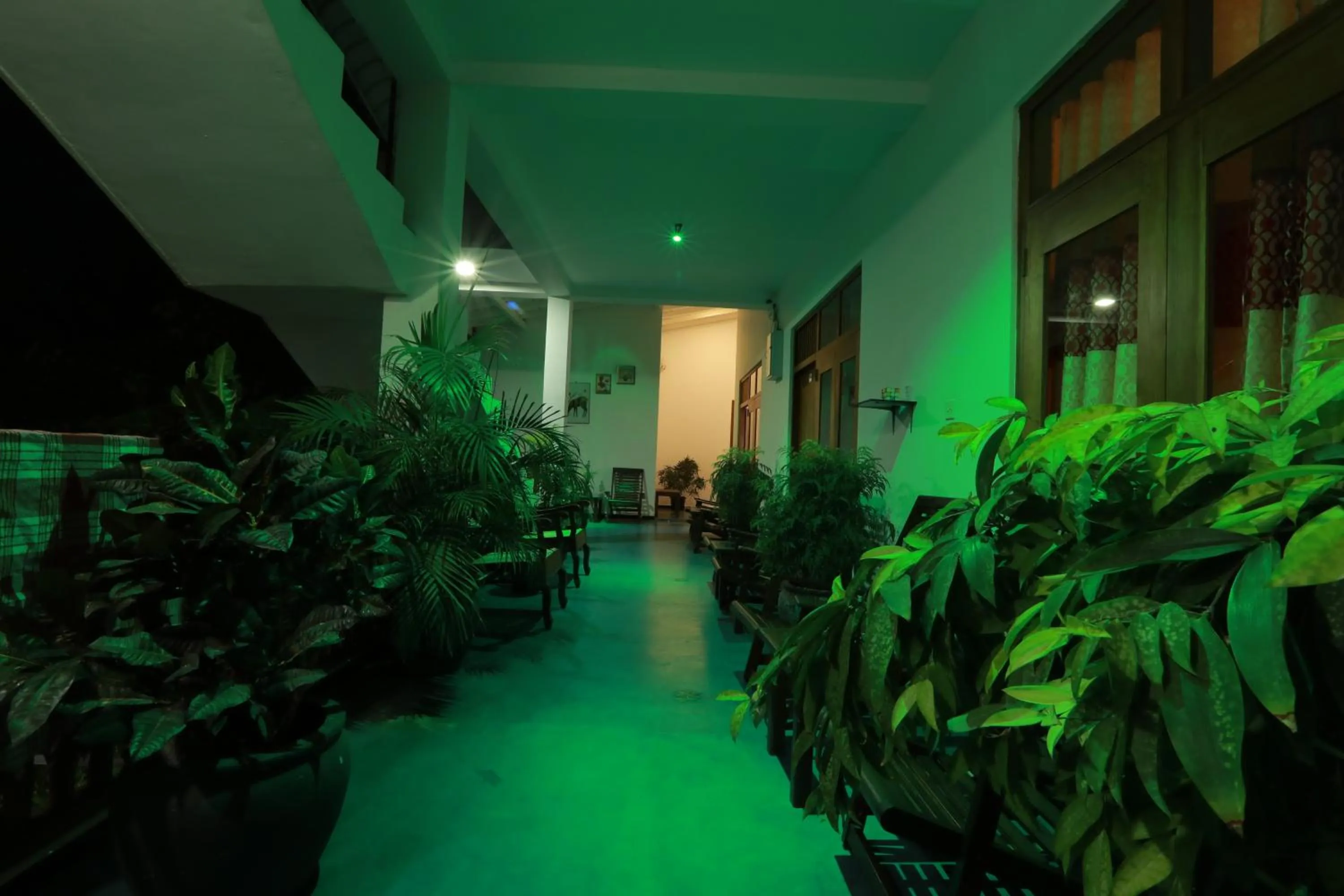 Facade/entrance in Hotel Bay Watch Unawatuna