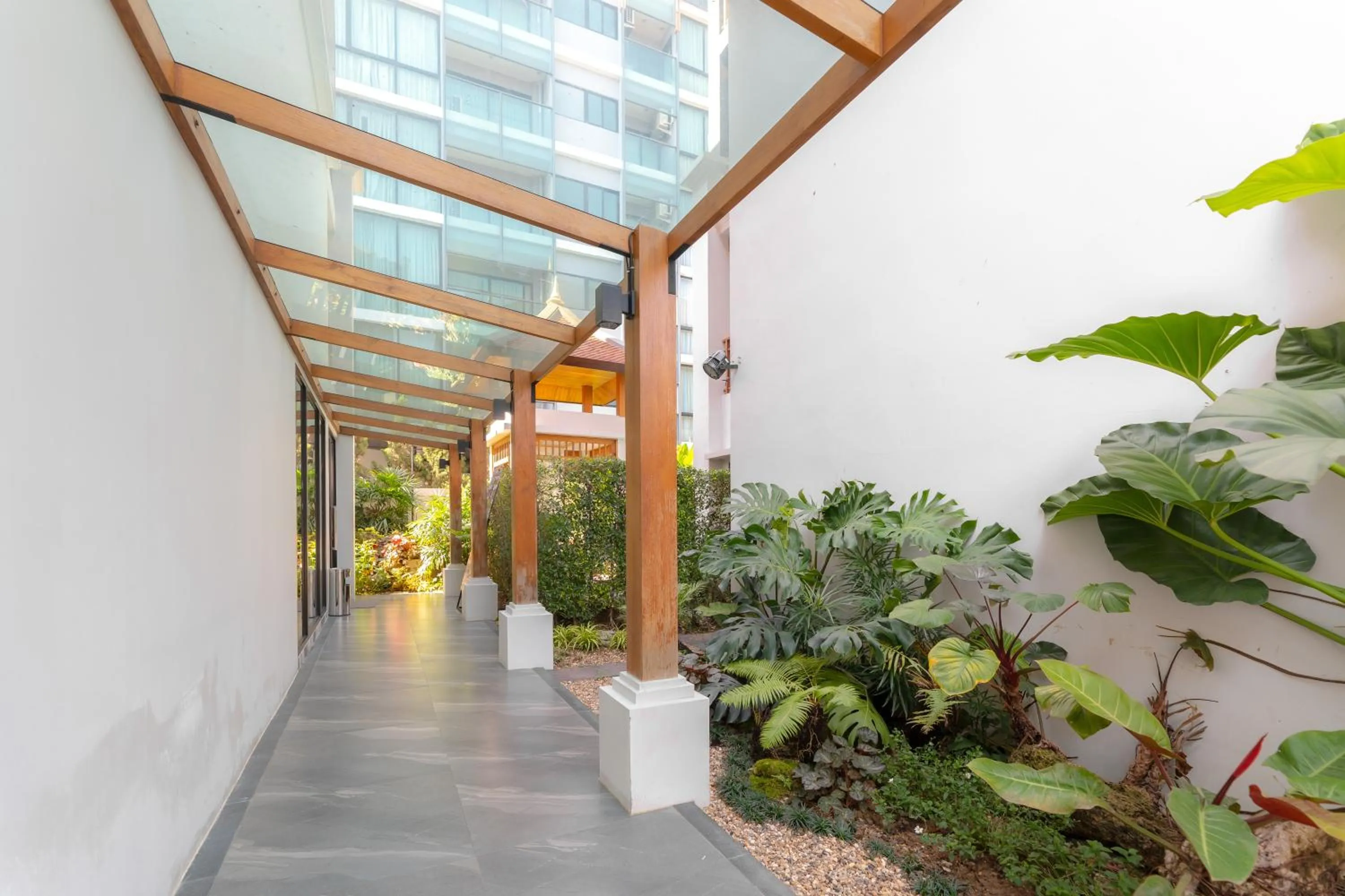 Garden in Verbena Chiangmai