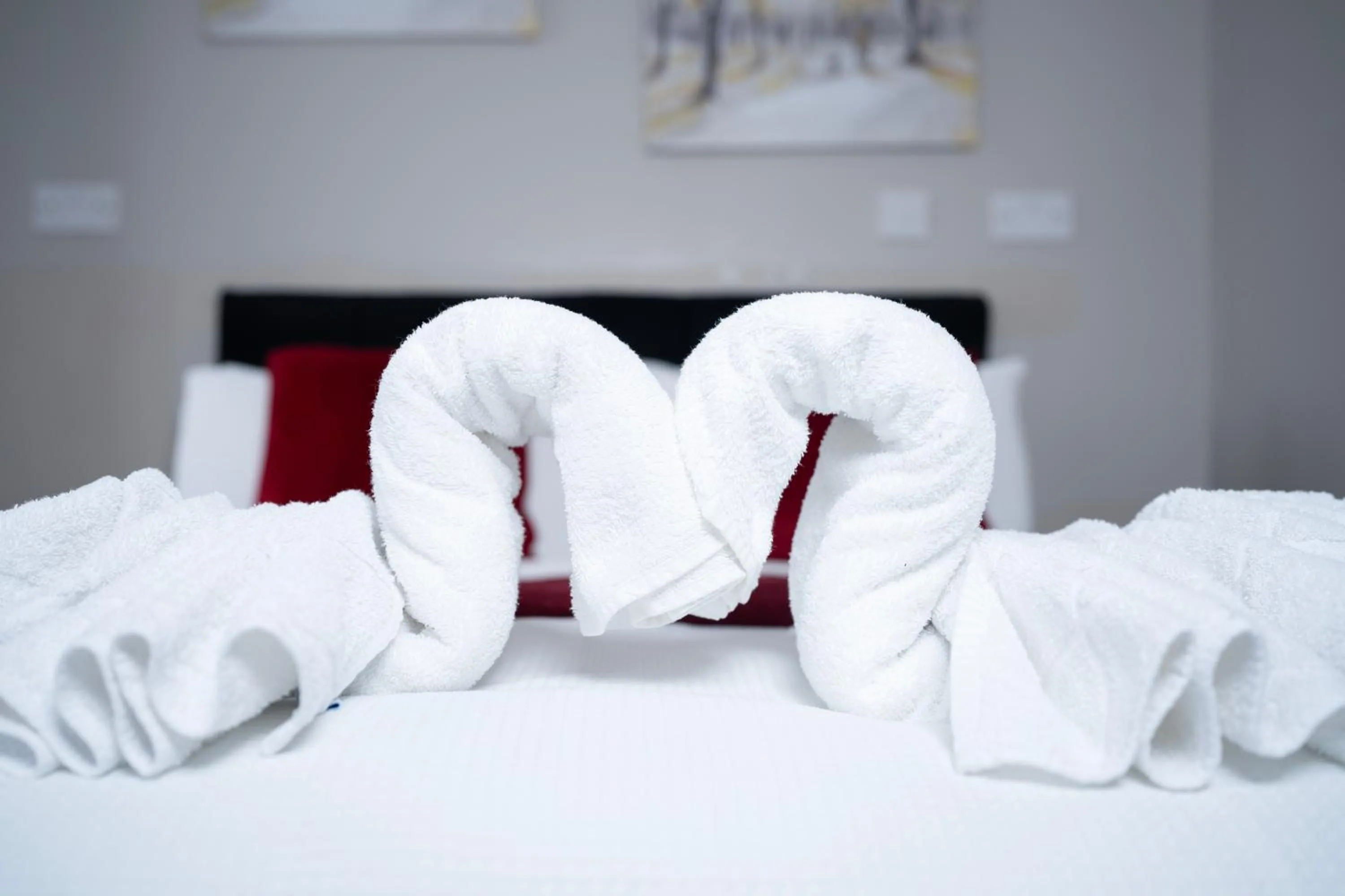 Decorative detail, Bed in Paragraph Edmonton