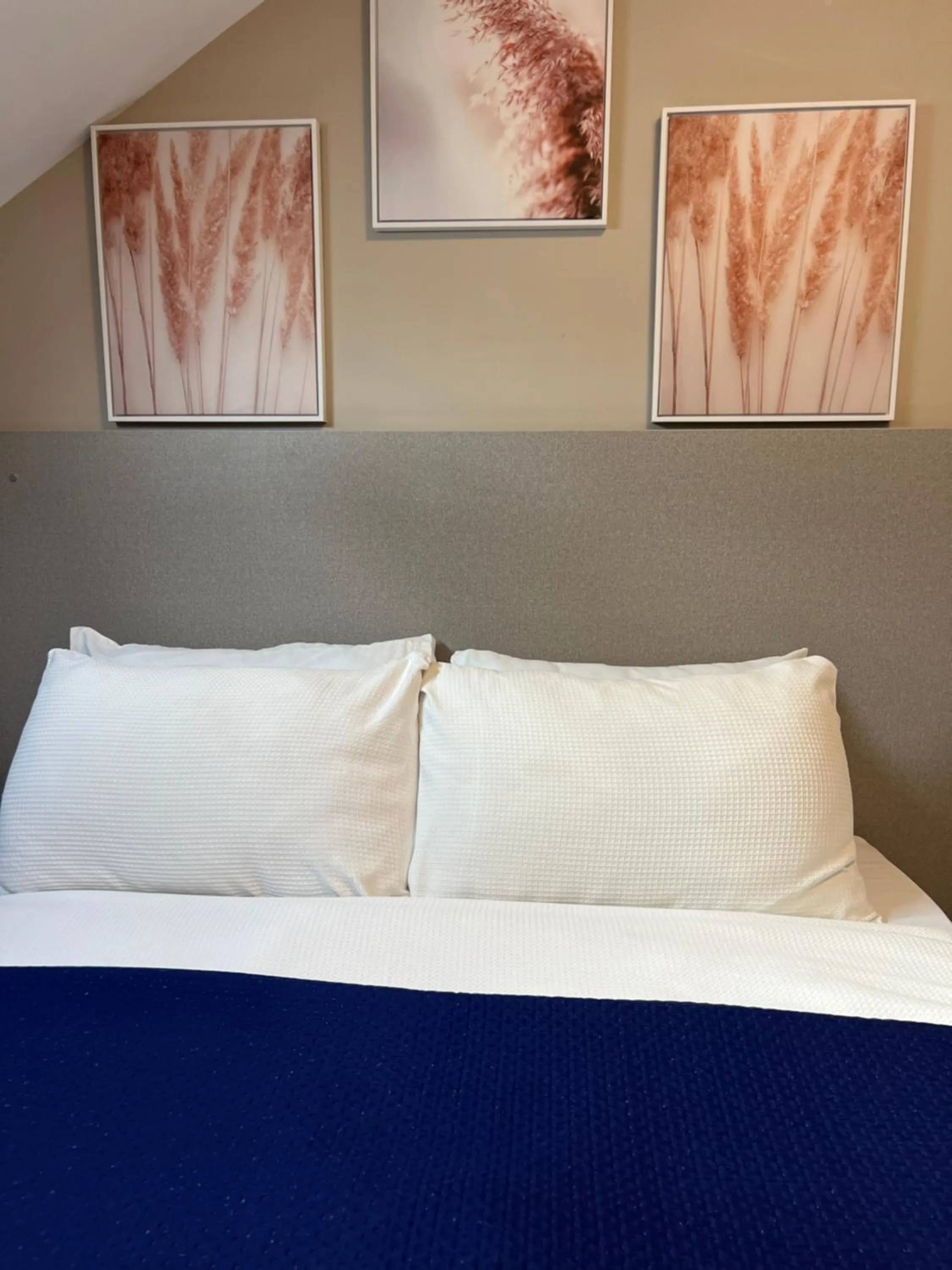 Bed in Paragraph Edmonton