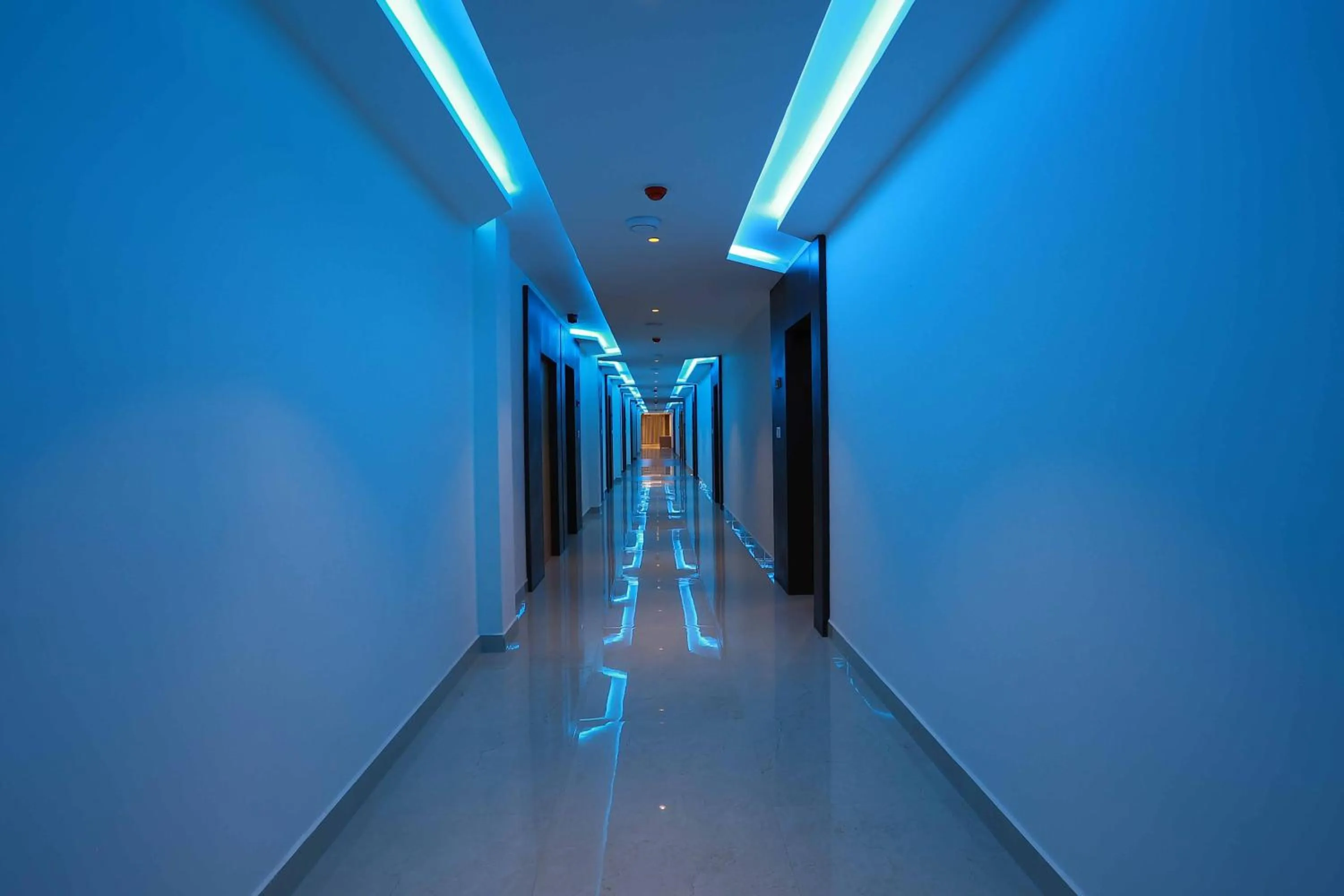 Lobby or reception in HOTEL BLUEMOON