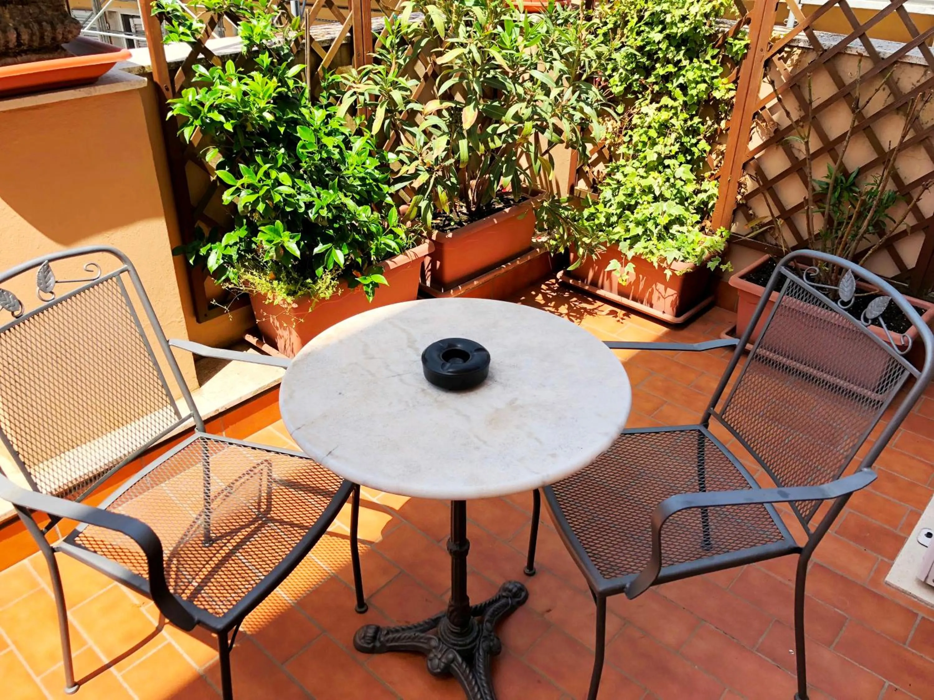 Balcony/Terrace in Hotel Signa