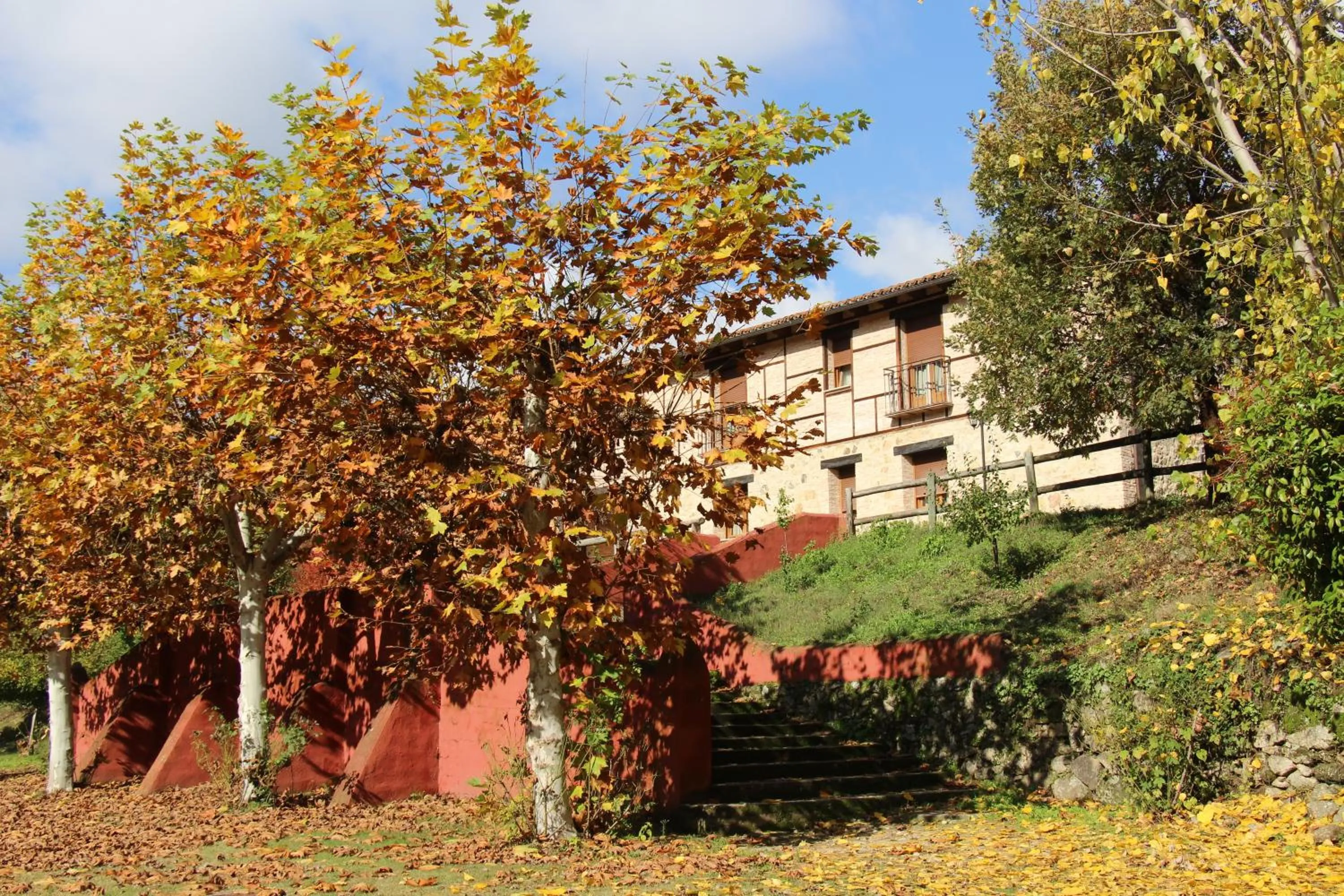 Family Room with Shared Bathroom in Hostel El Lago, Caceres