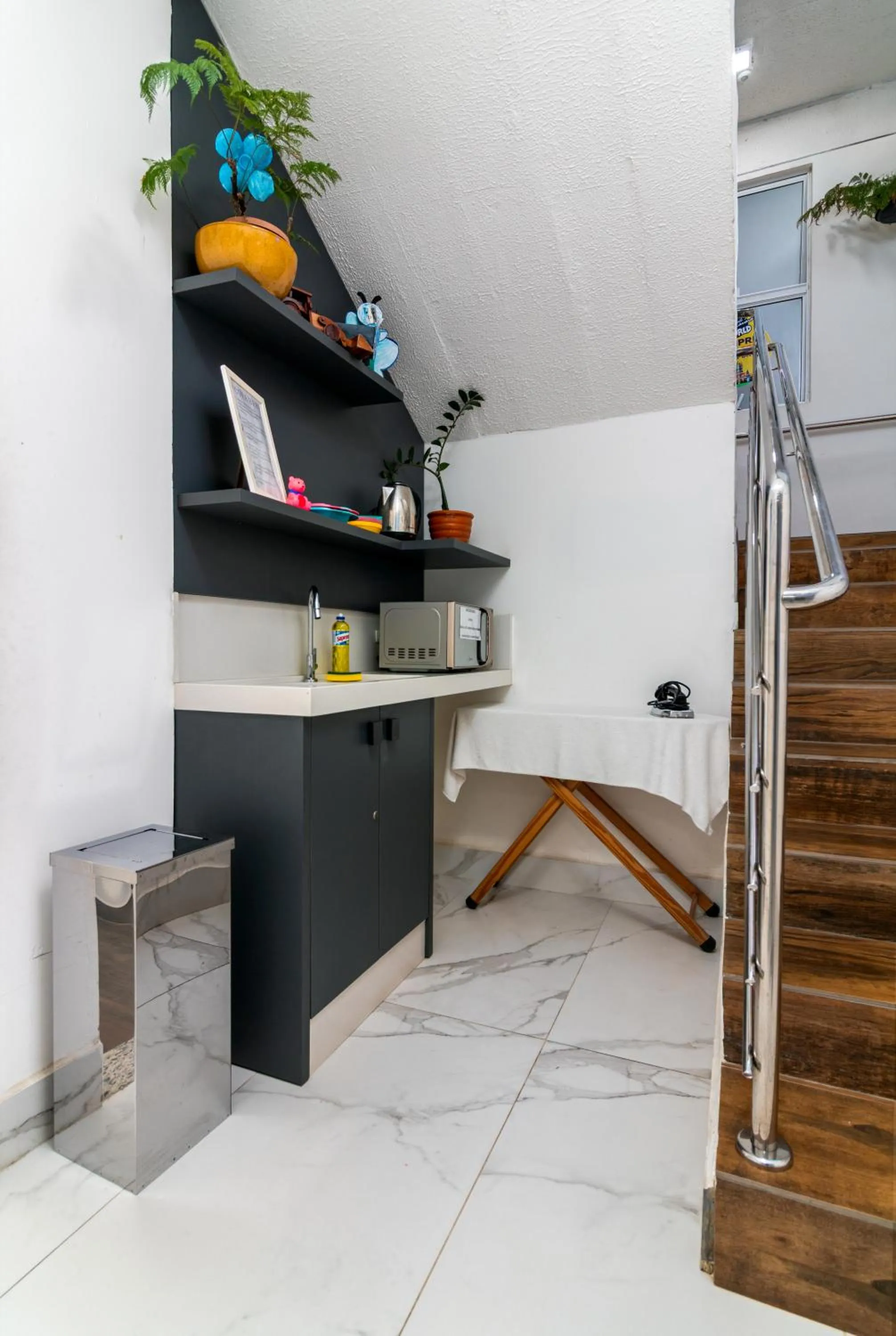 Area and facilities in Hotel Conchas