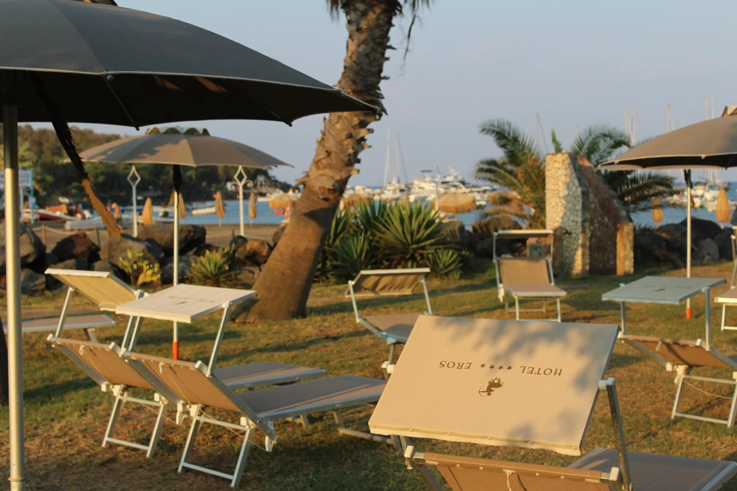 Garden in Hotel Eros