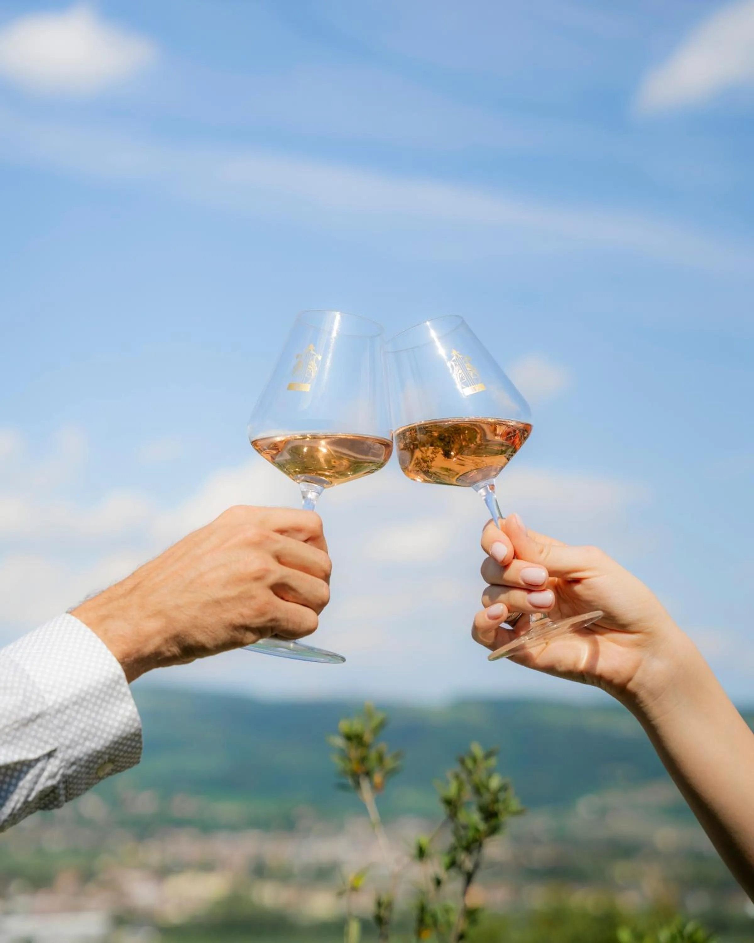 Restaurant/places to eat in Castrum Wine Relais - Albergo Diffuso