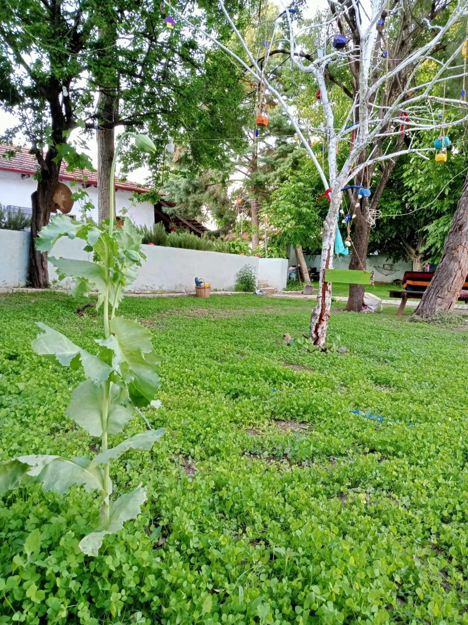 Koca Kapı Konaklama