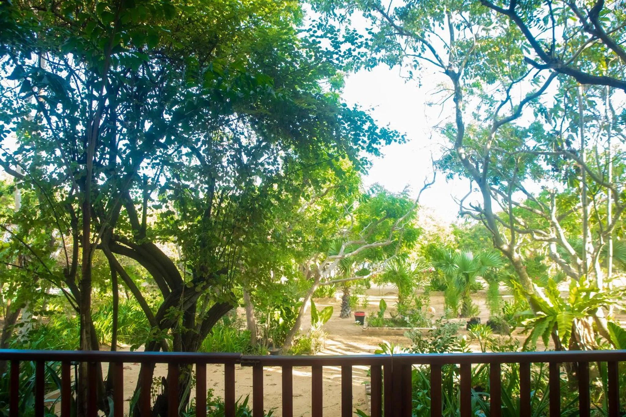 Garden view in NIKARA Luxury Beach House