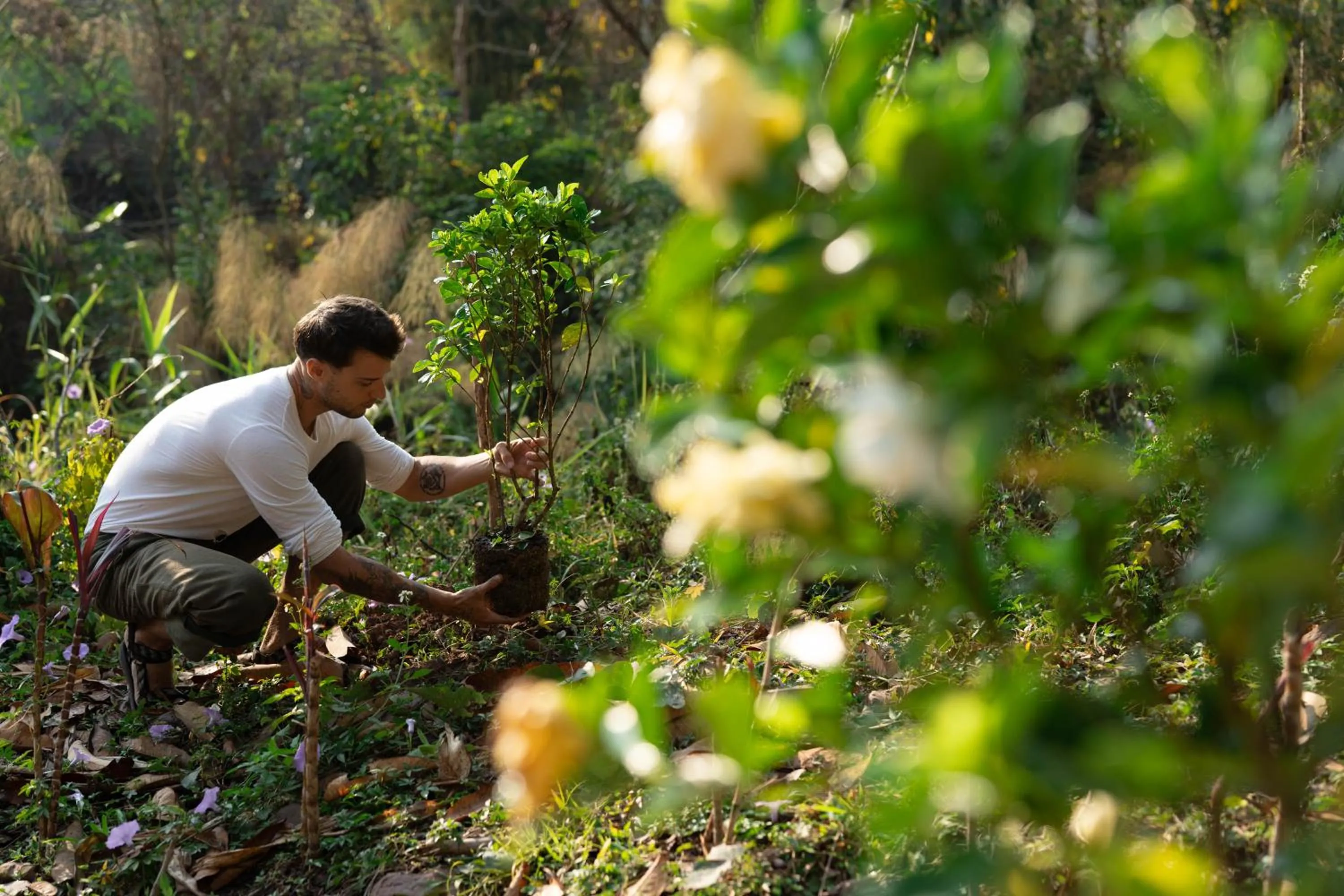 Garden in Visama Explorer Nan