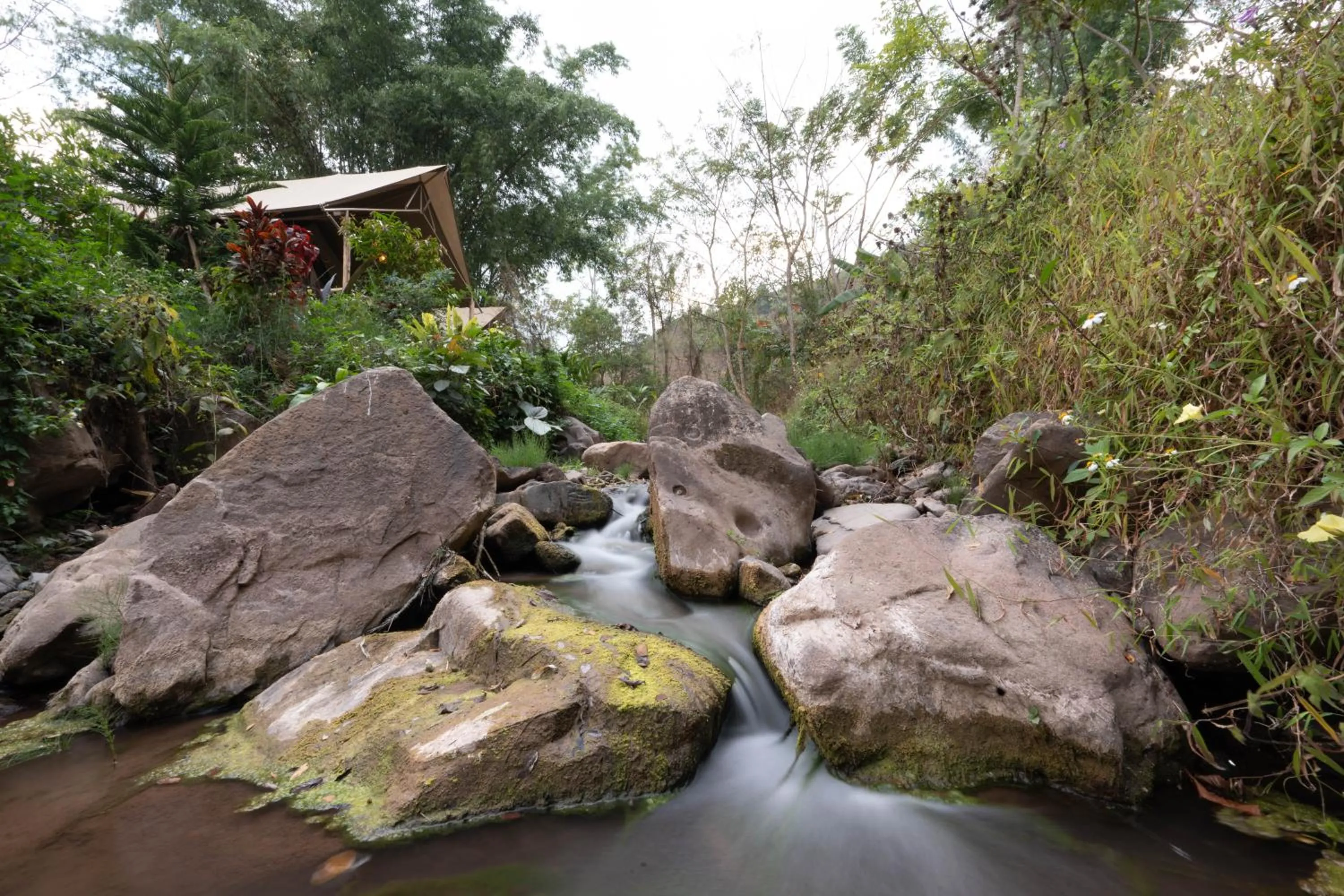 View (from property/room) in Visama Explorer Nan