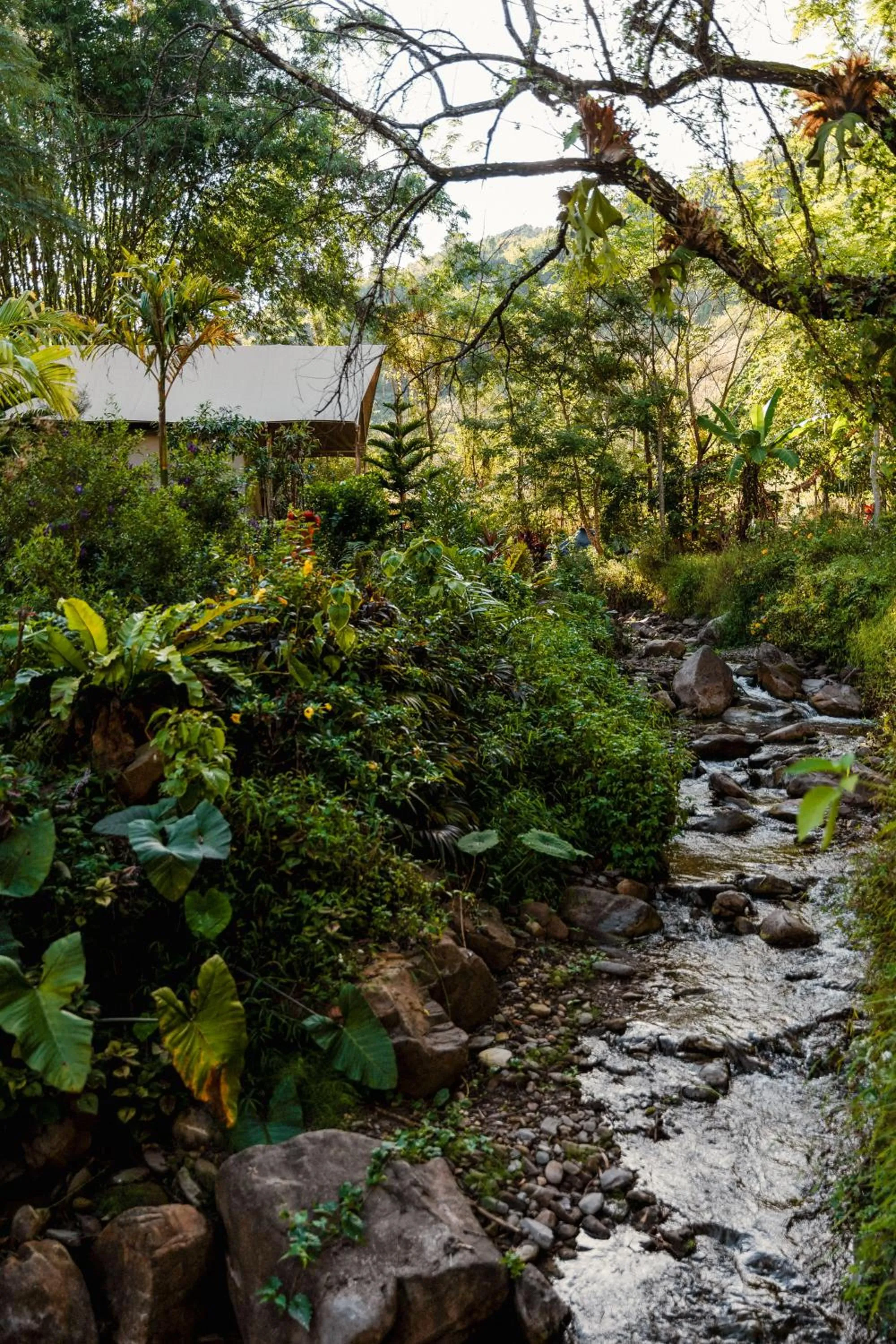 View (from property/room) in Visama Explorer Nan