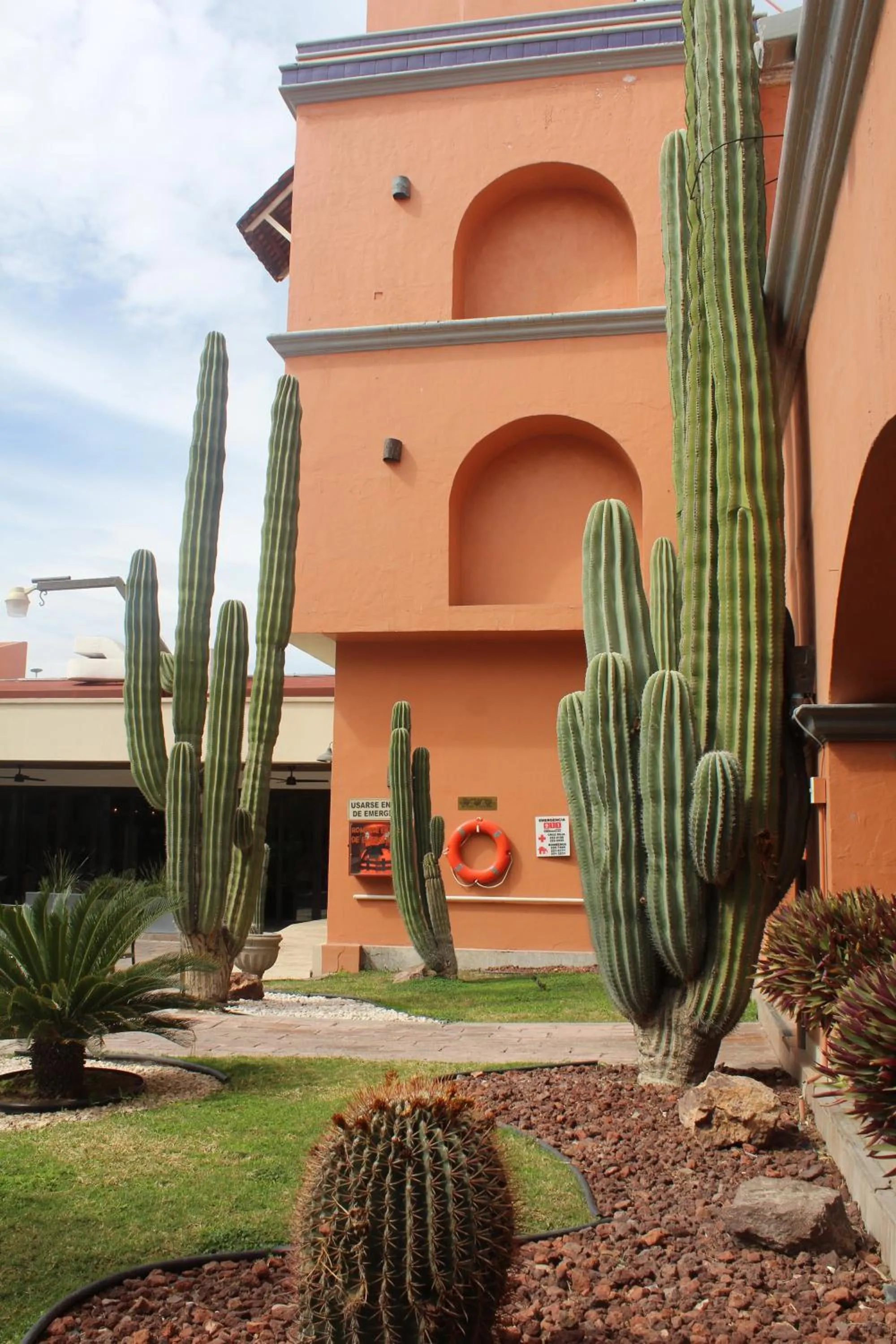 Garden in Hotel Armida Guaymas