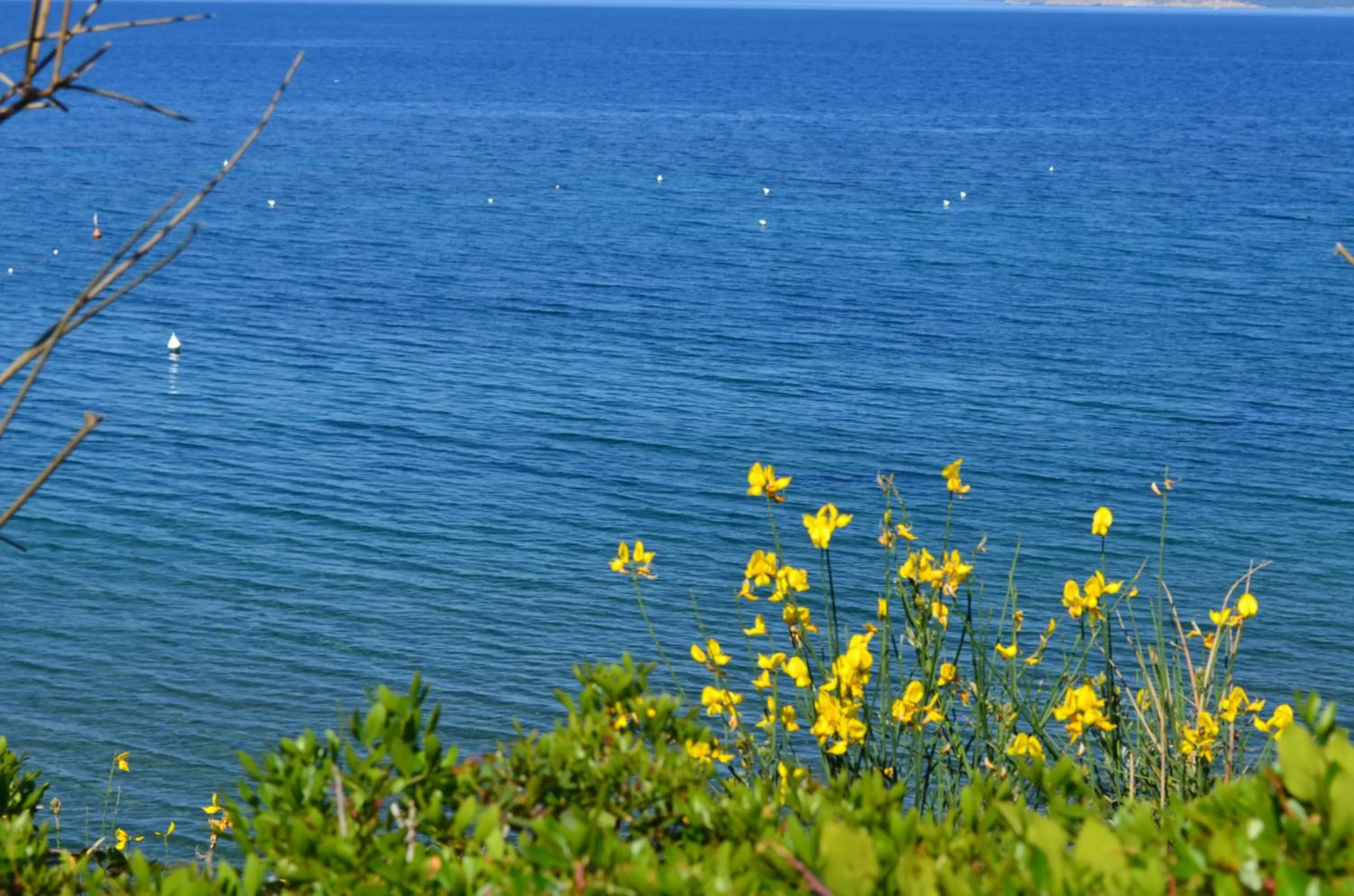 Spring in Residential Hotel Villaggio Innamorata