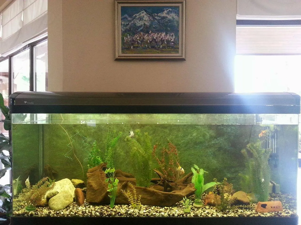 Winslow Infinity Aparthotel