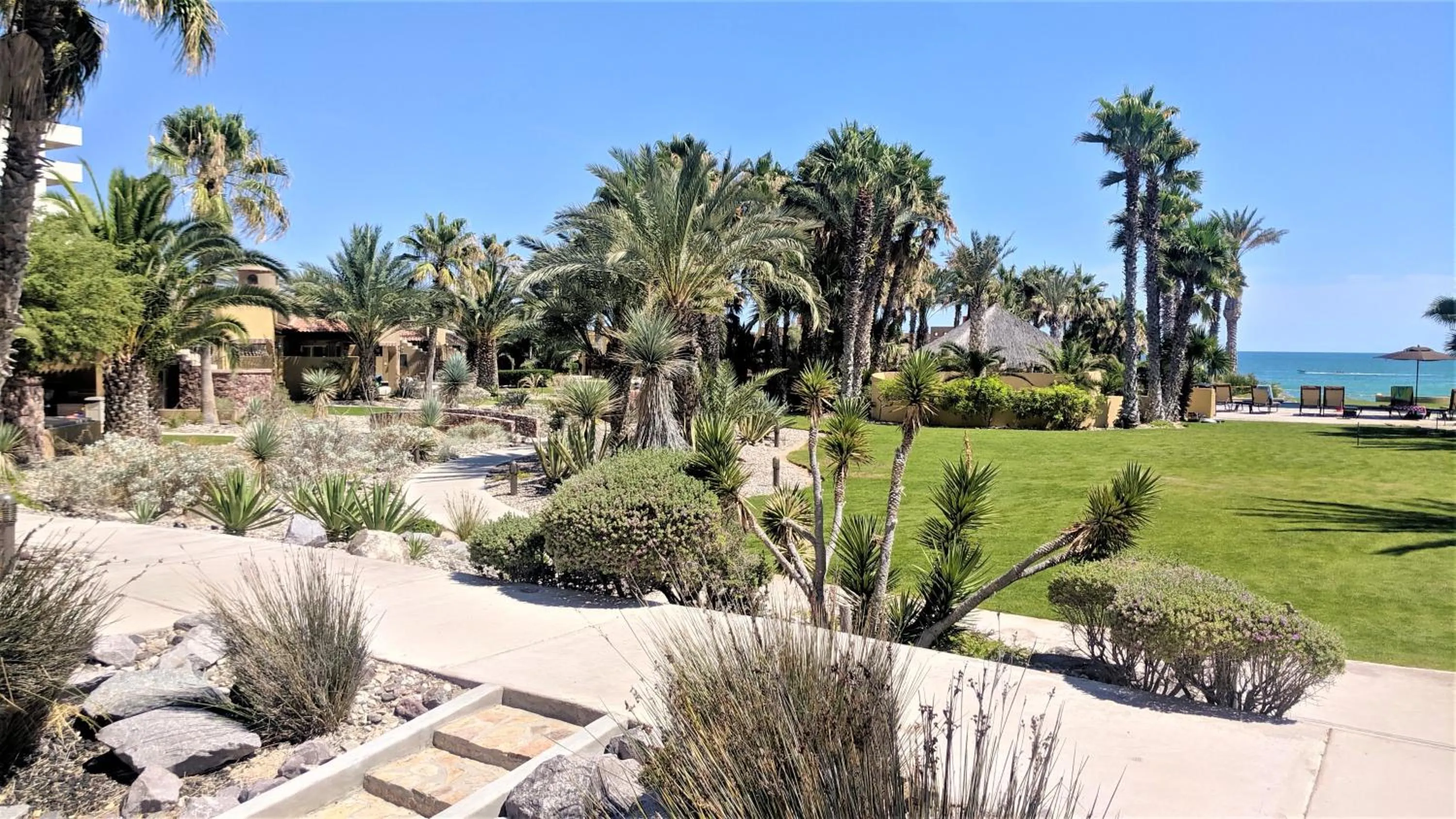 Garden in Bella Sirena 601-B -Stylish Condo in Oceanfront Resort