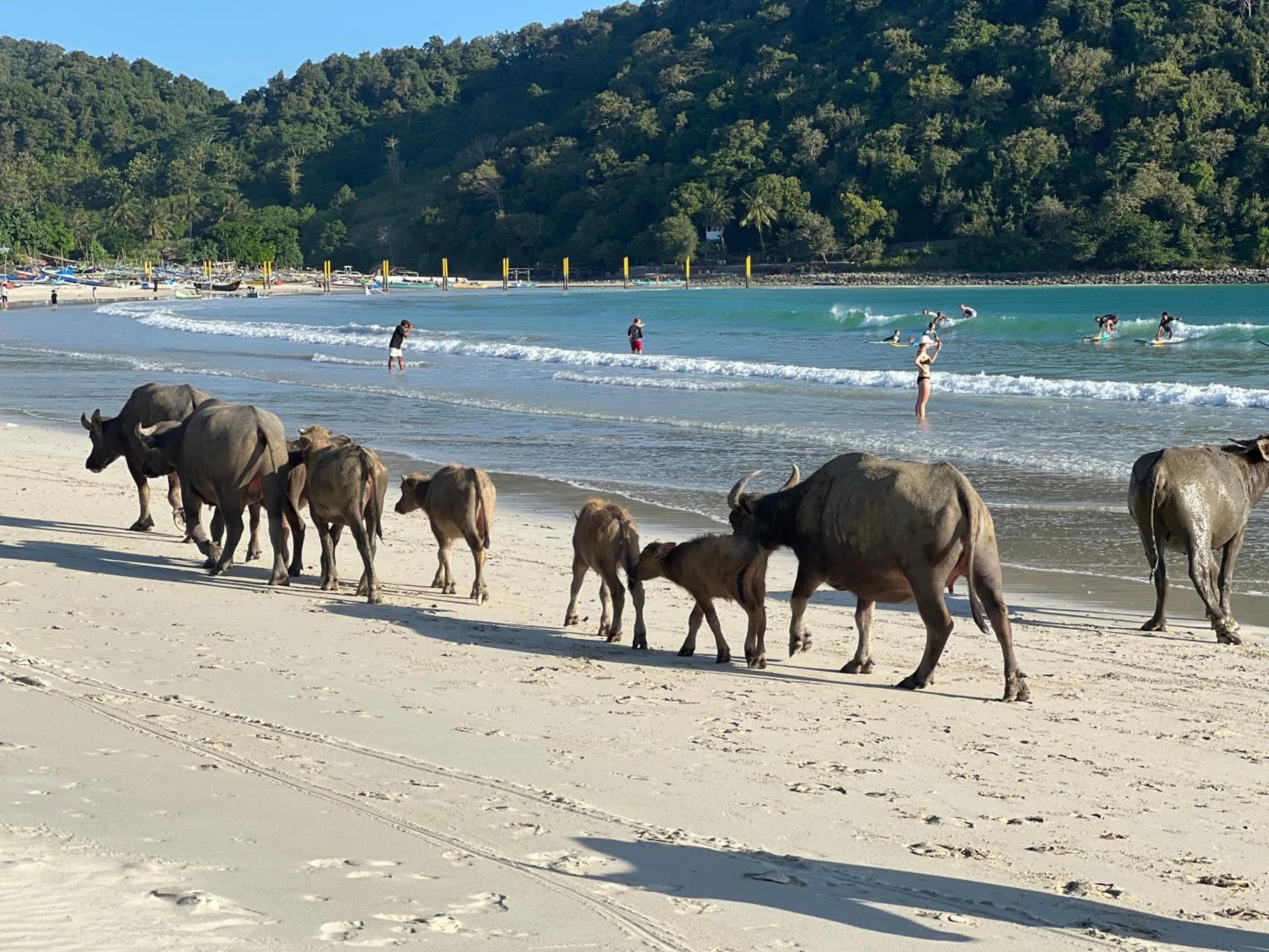 Nearby landmark in Naia Lombok