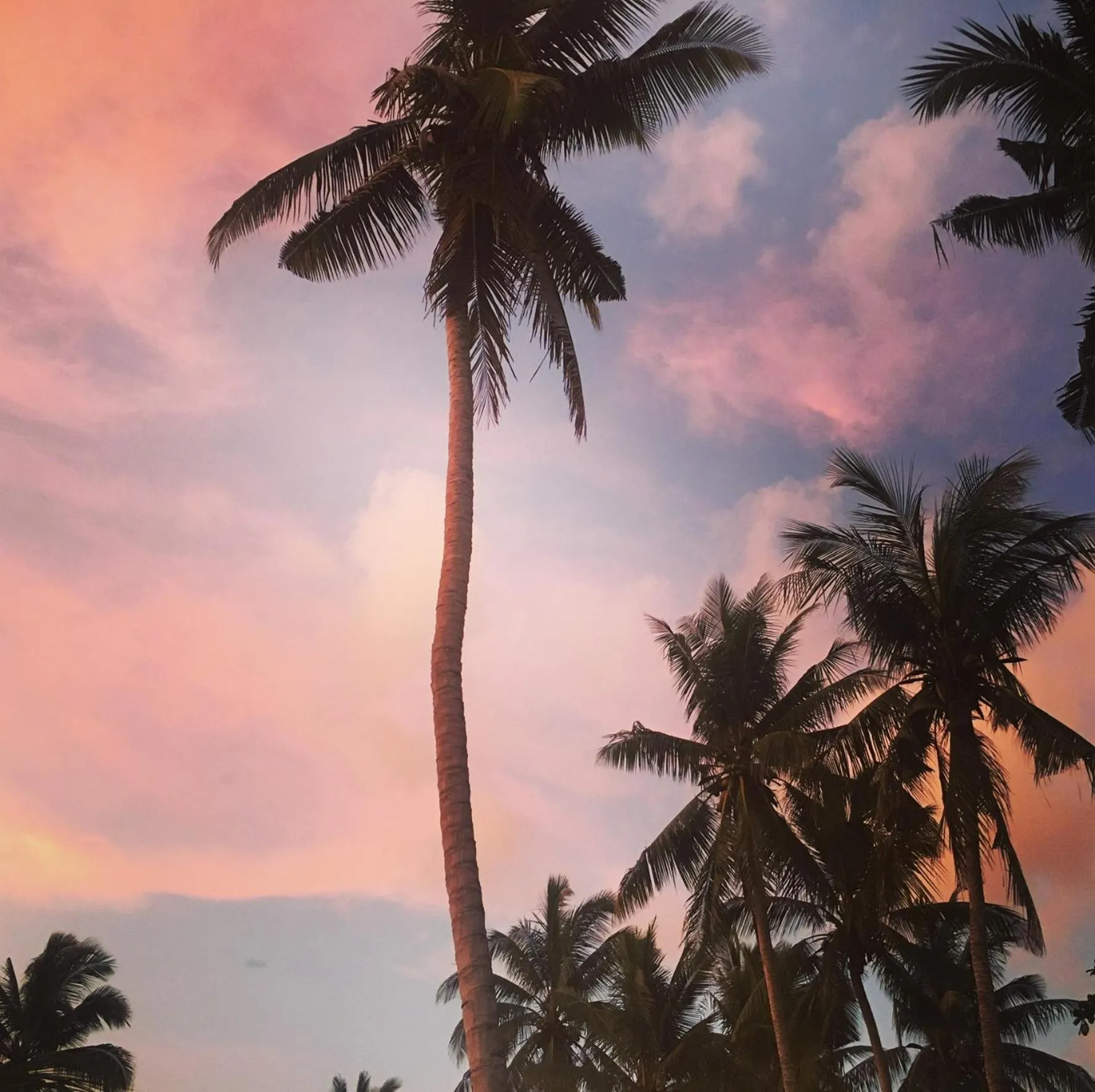 Natural landscape in Naia Lombok