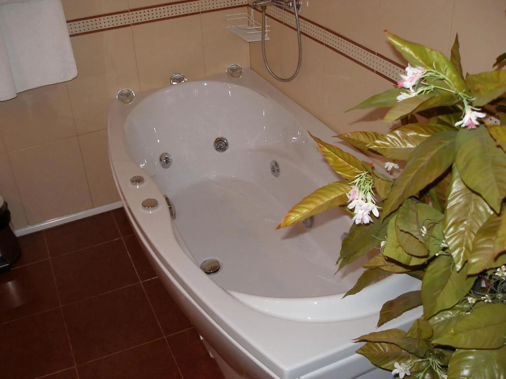 Hot Tub in Hotel Brilliantin