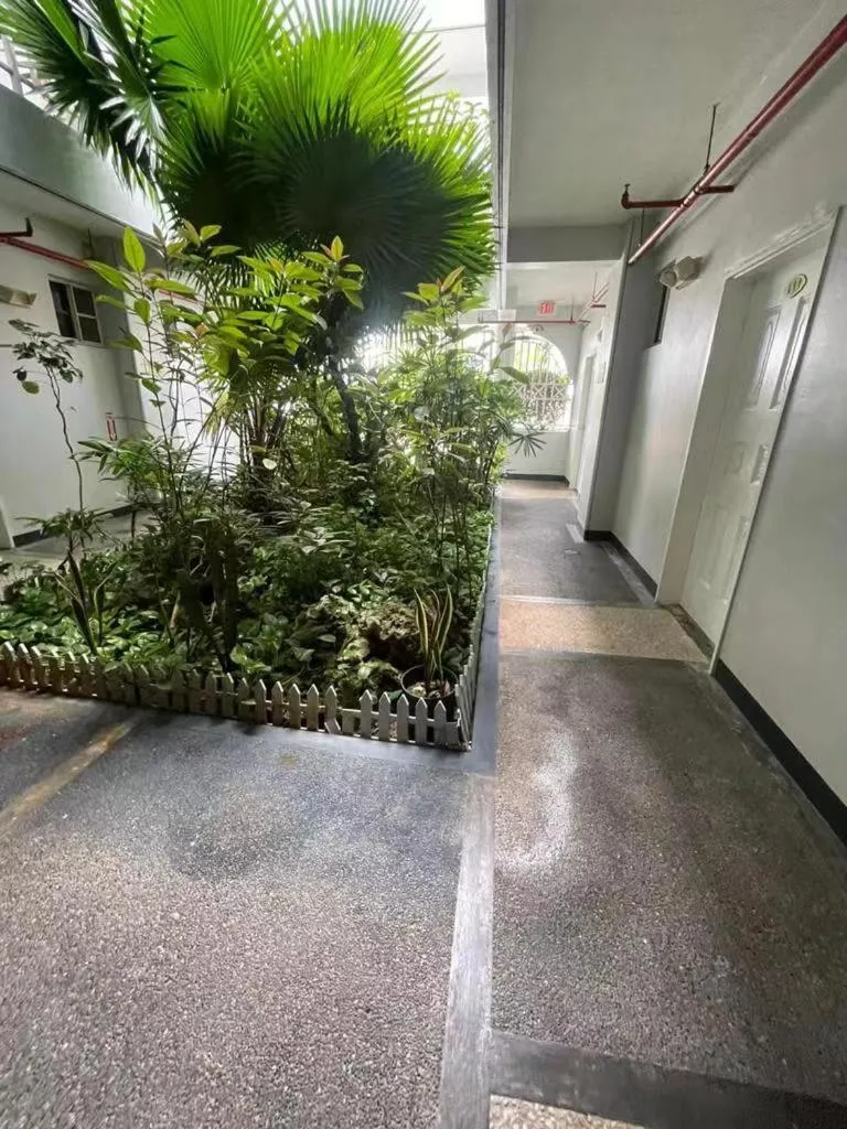 Garden in Capital Hotel